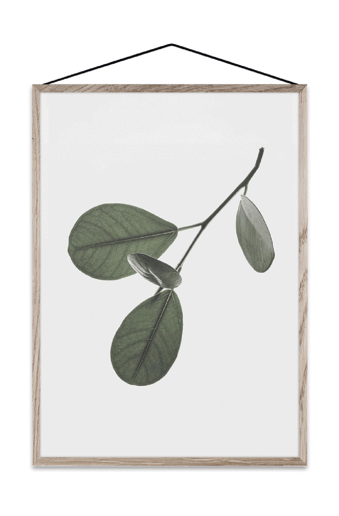 Frunze plutitoare colective de hârtie 05 card, A5