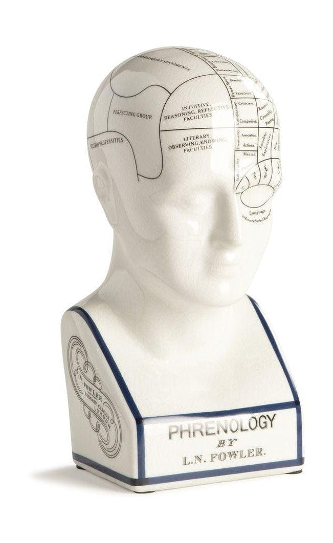 Authentic Models Phrenological Head