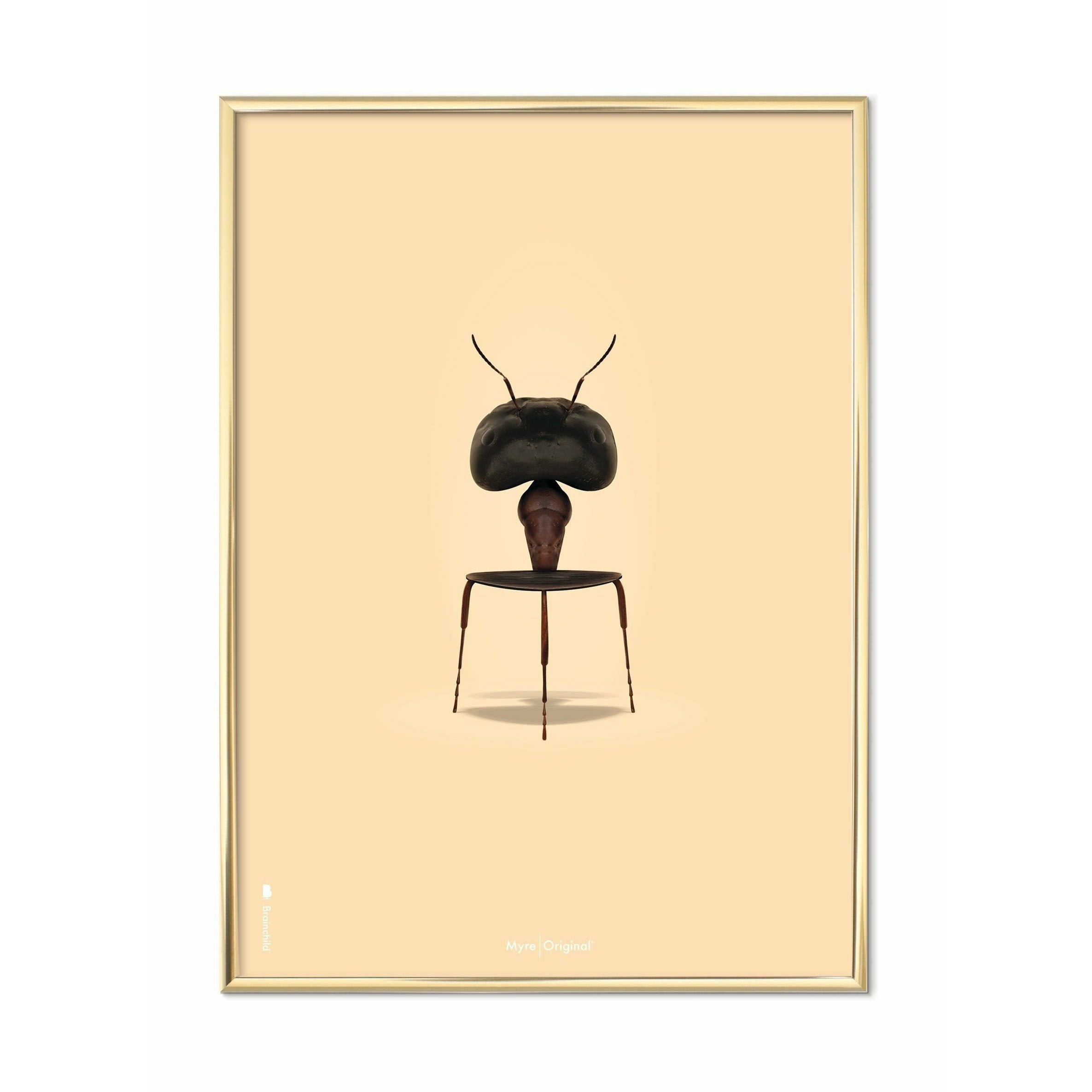 brainchild Ant Classic Poster, Brass Frame 50x70 cm, sandfarvet baggrund