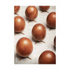  Æggeparade plakat uden ramme 50x70 cm