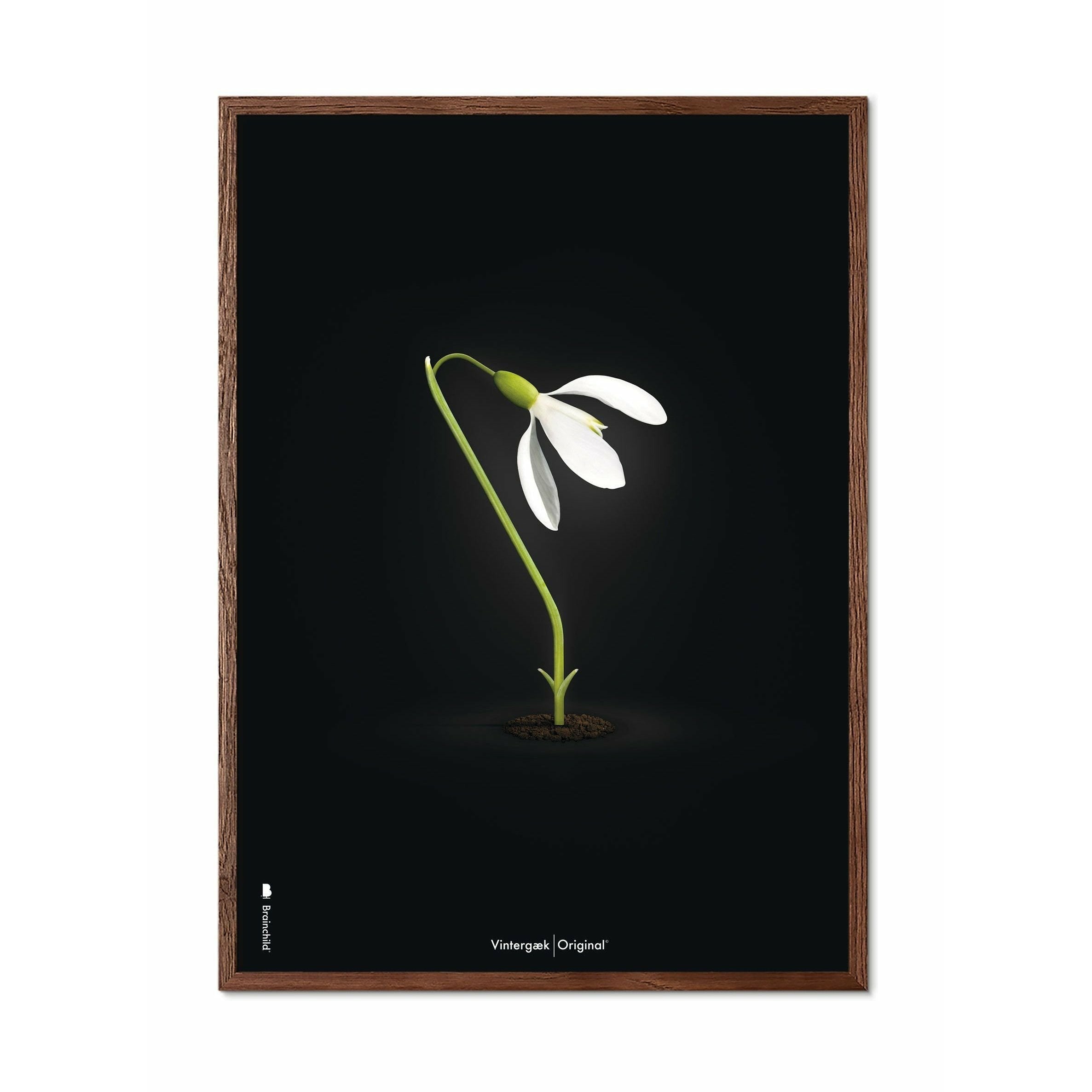 brainchild Snowdrop Classic plakat, mørk træ ramme A5, sort baggrund