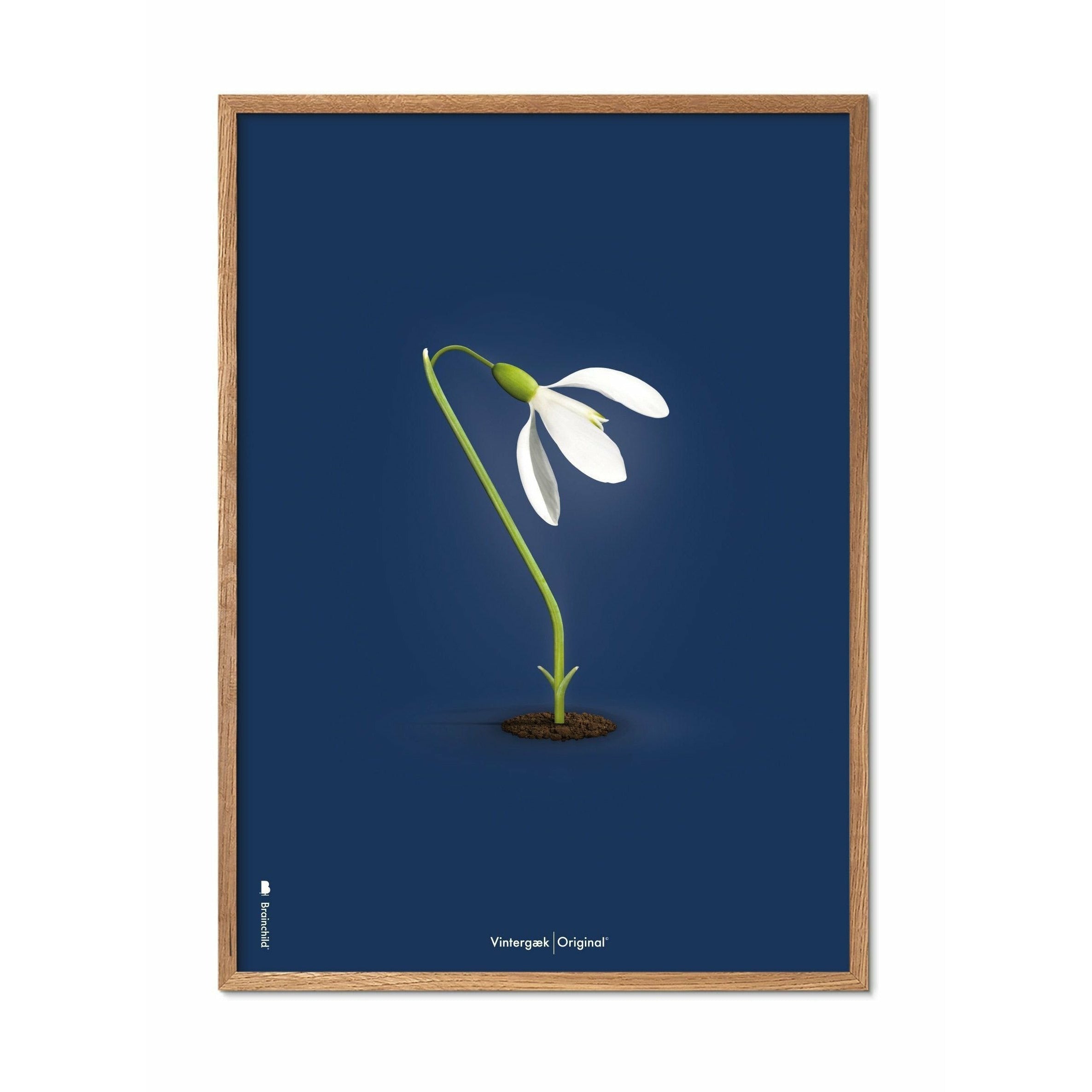brainchild Snowdrop Classic plakat, ramme lavet af let træ A5, mørkeblå baggrund