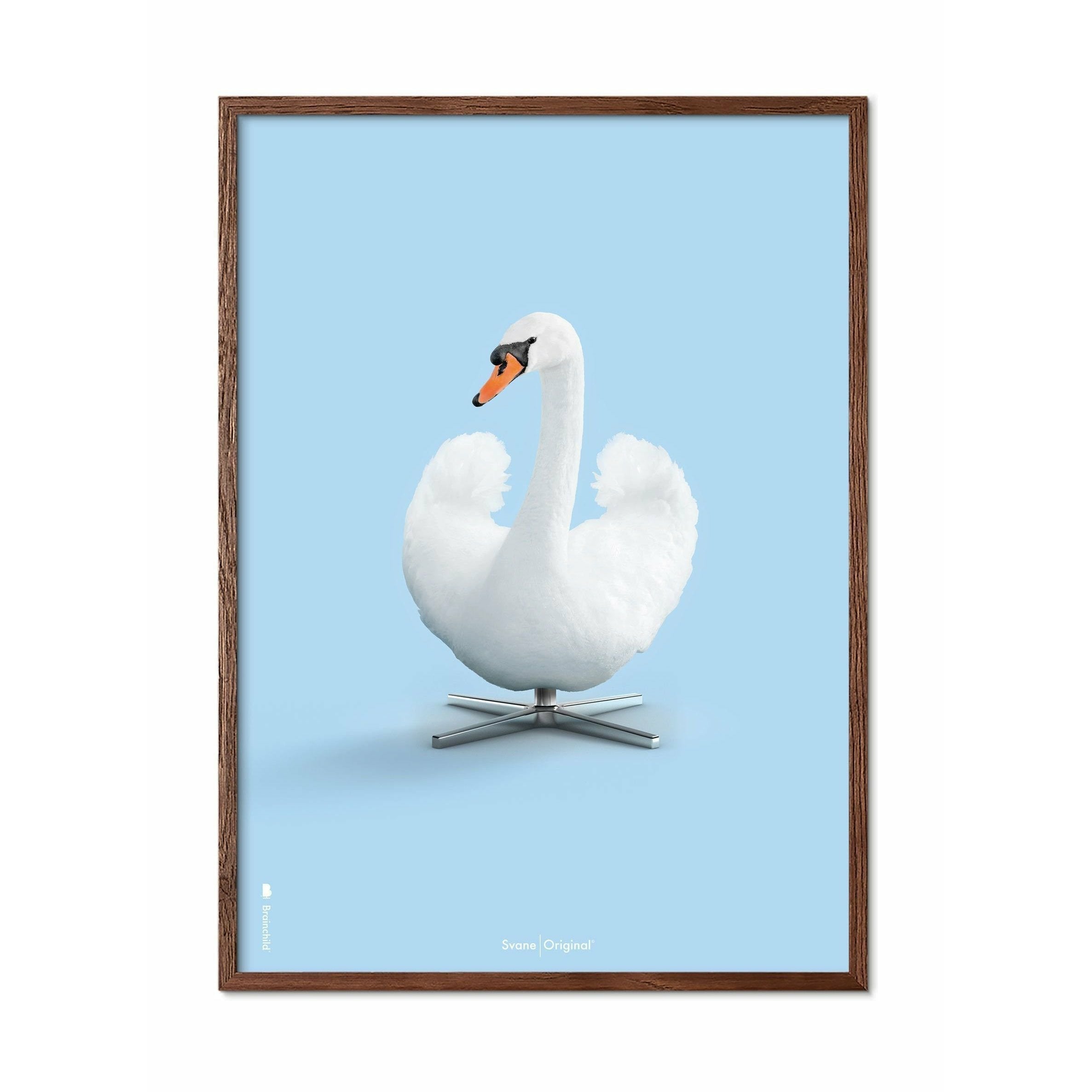 brainchild Swan Classic plakat, ramme lavet af mørk træ 50x70 cm, lyseblå baggrund