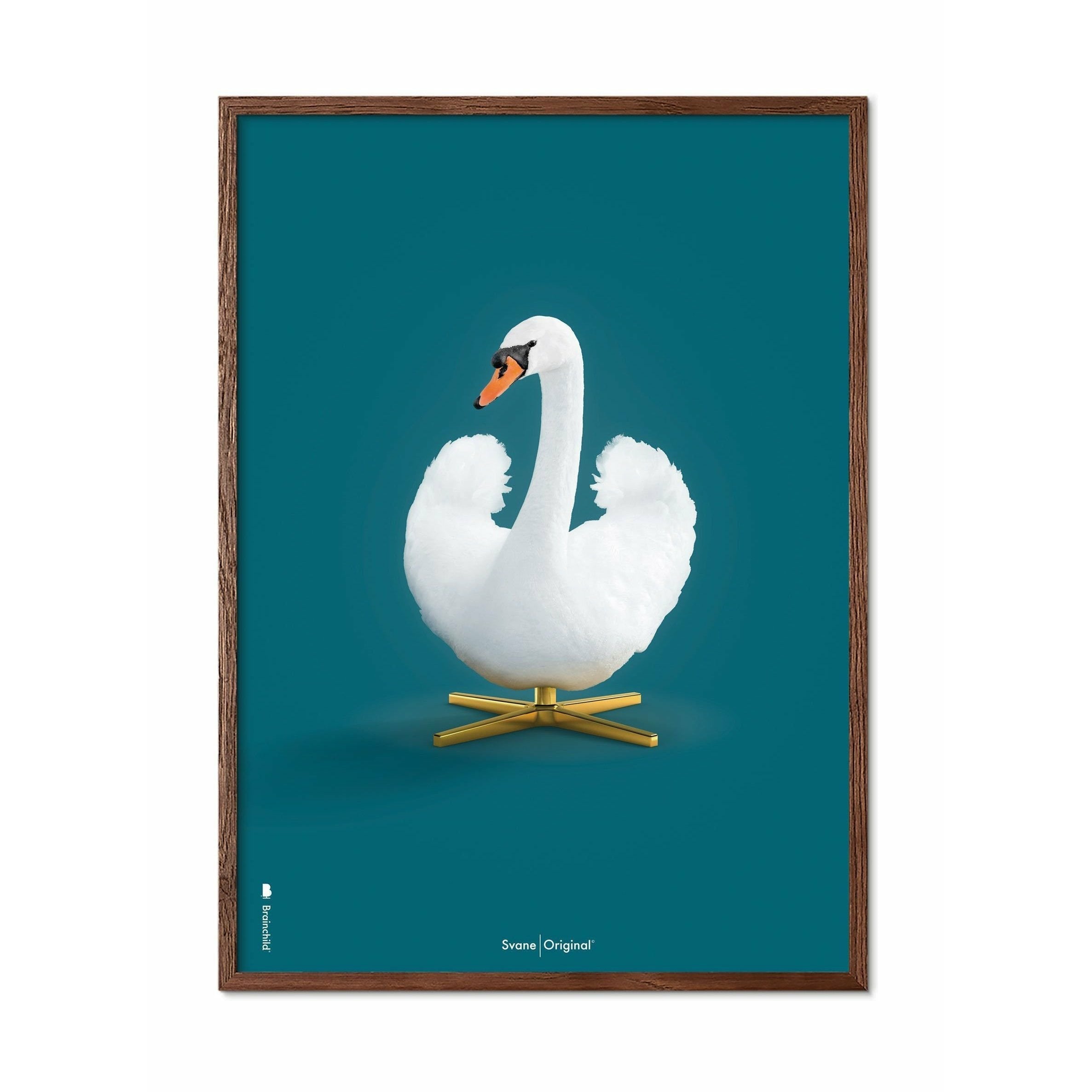 brainchild Swan Classic plakat, mørk træramme 70x100 cm, petroleumblå baggrund