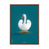 brainchild Swan Classic plakat mørk træramme 70x100 cm petroleumblå baggrund
