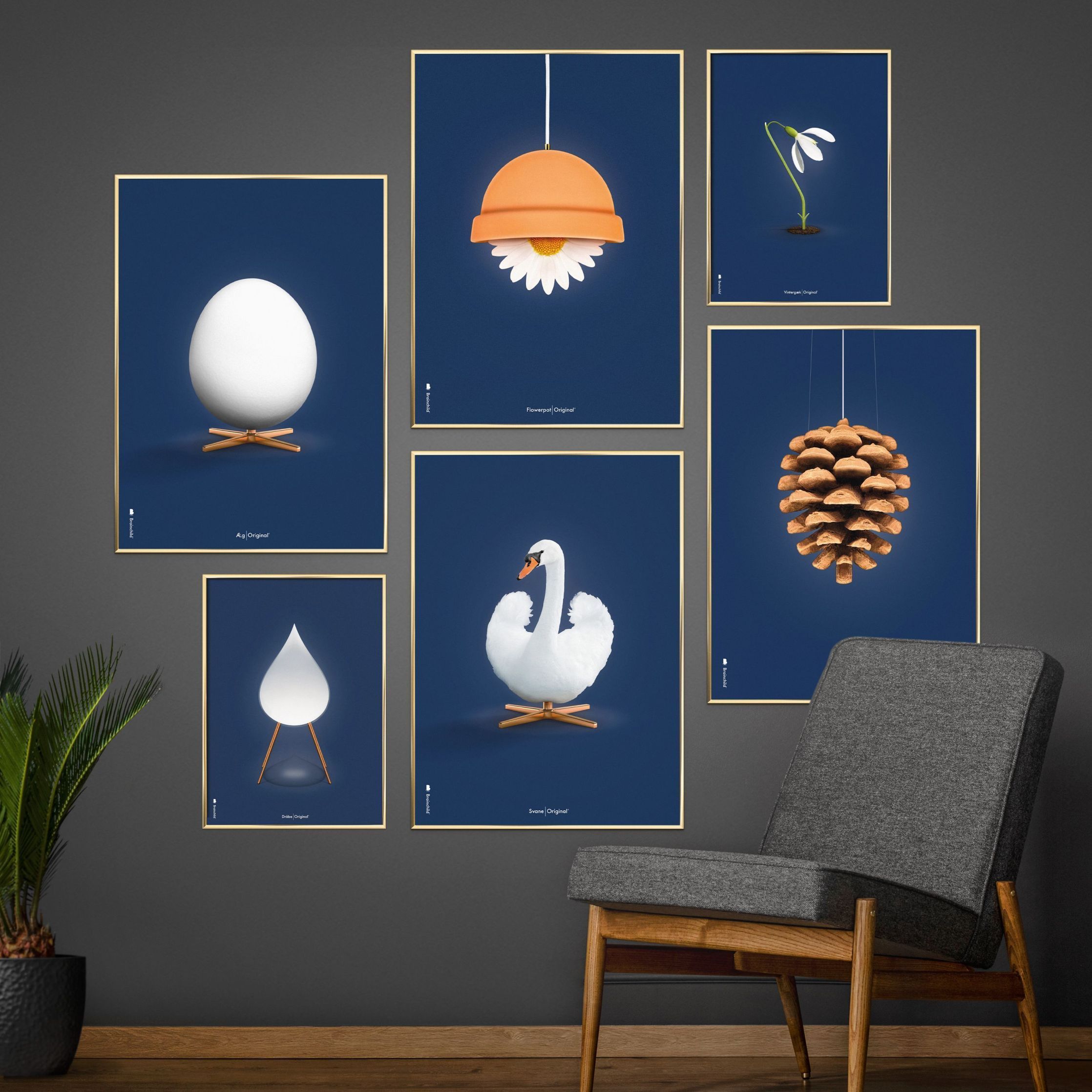 brainchild Swan Classic plakat, mørk træ ramme A5, mørkeblå baggrund