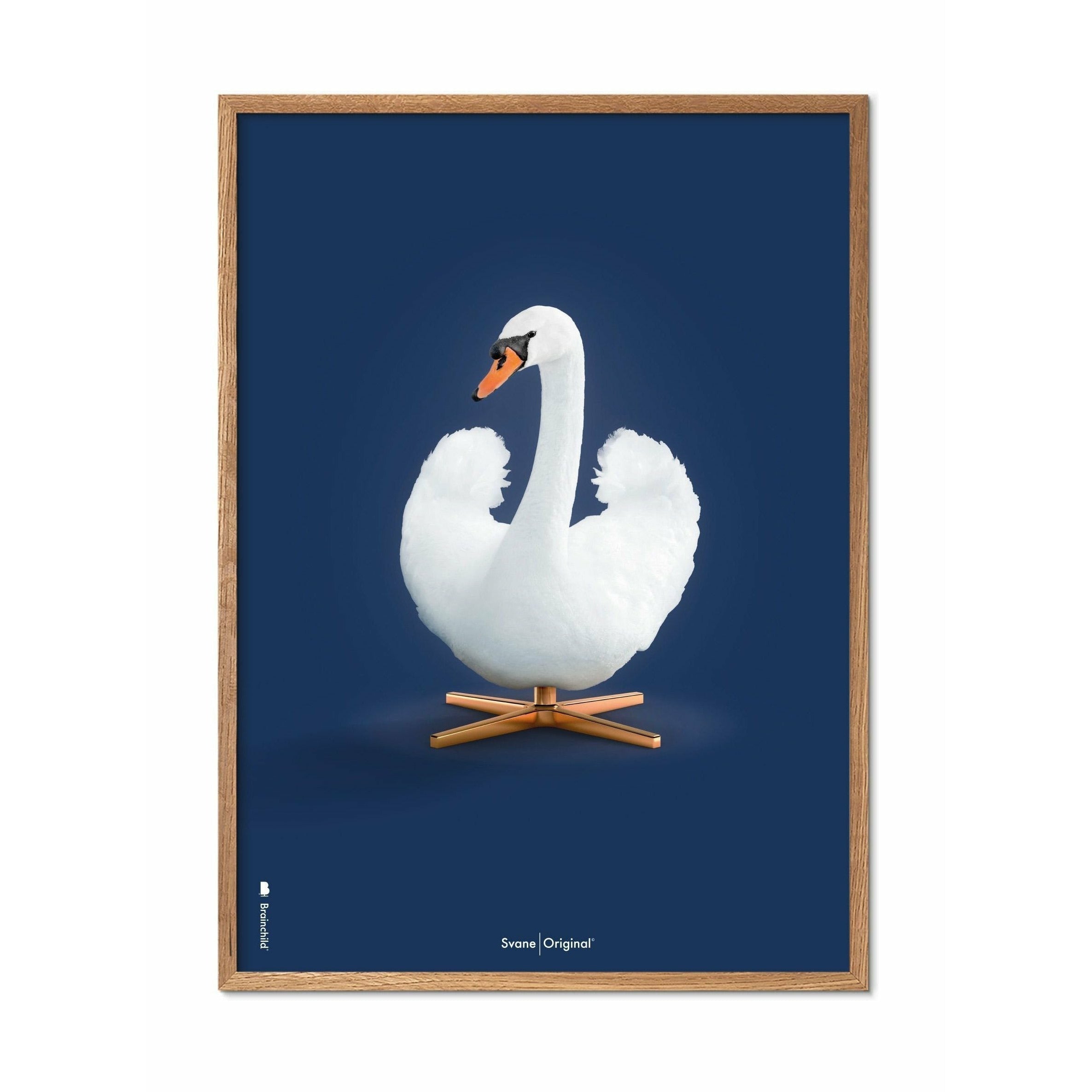 brainchild Swan Classic plakat, ramme lavet af let træ 30x40 cm, mørkeblå baggrund