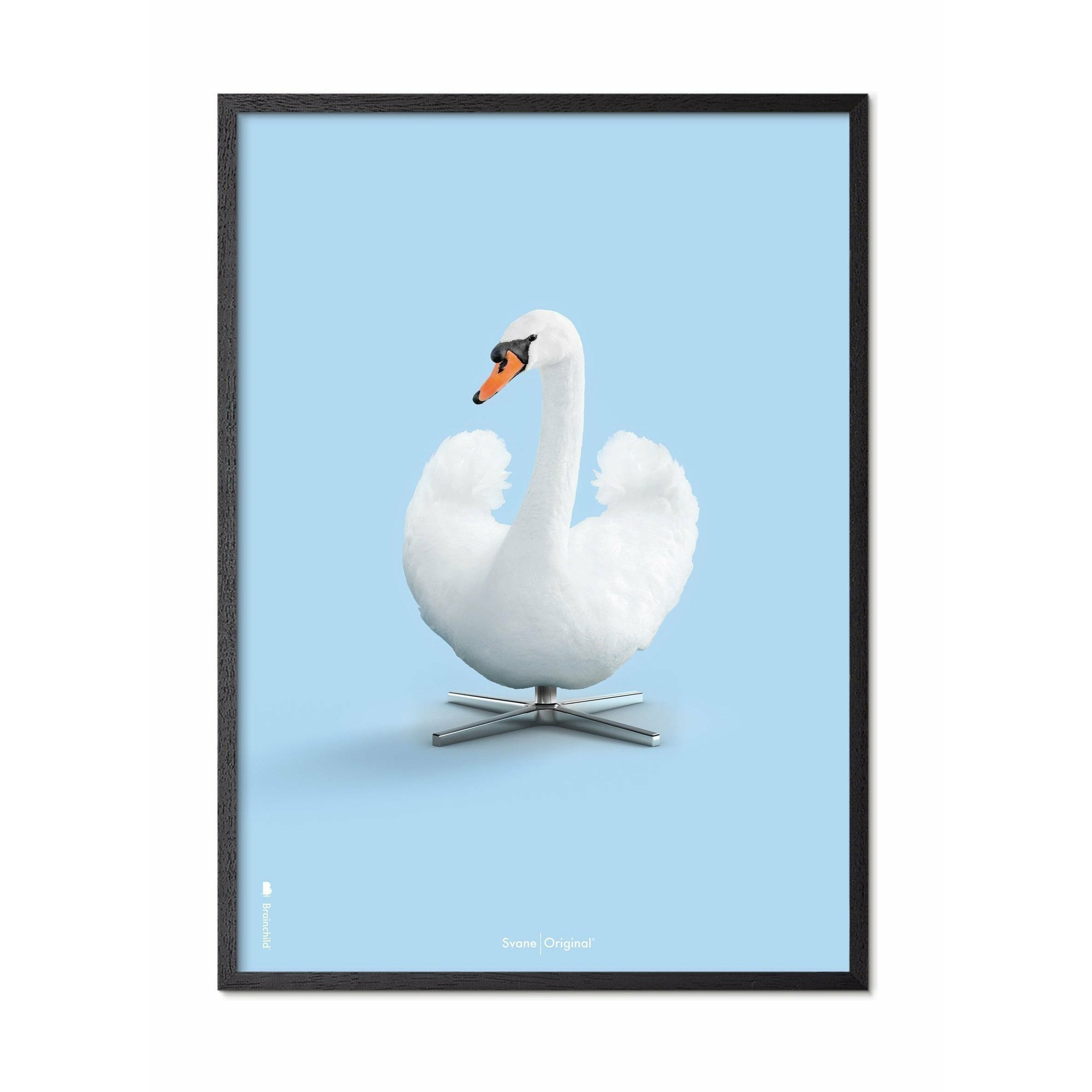 brainchild Swan Classic plakat, ramme i sort lakeret træ A5, lyseblå baggrund