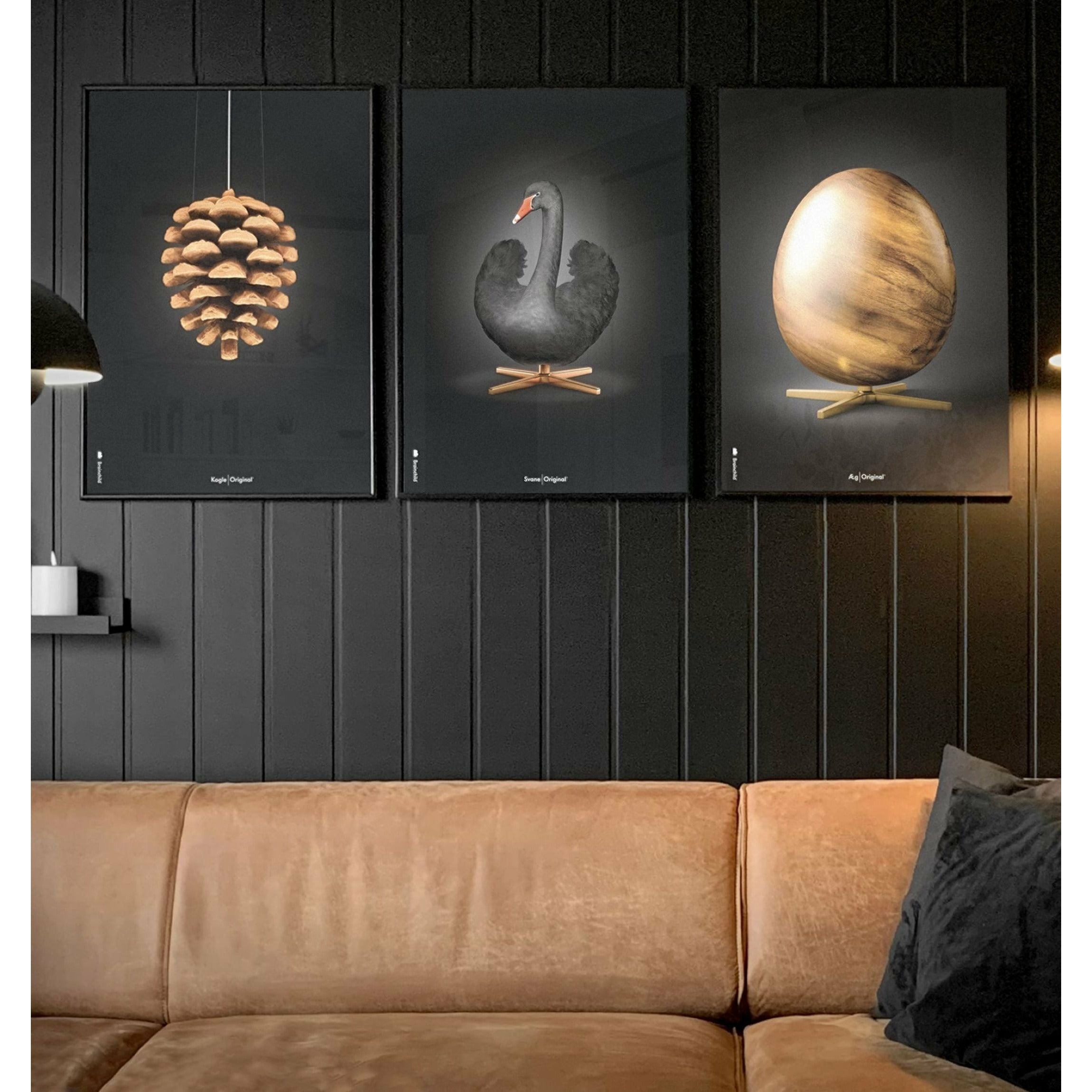 brainchild Pine Cone Classic Poster, ramme lavet af mørk træ 50x70 cm, sort baggrund