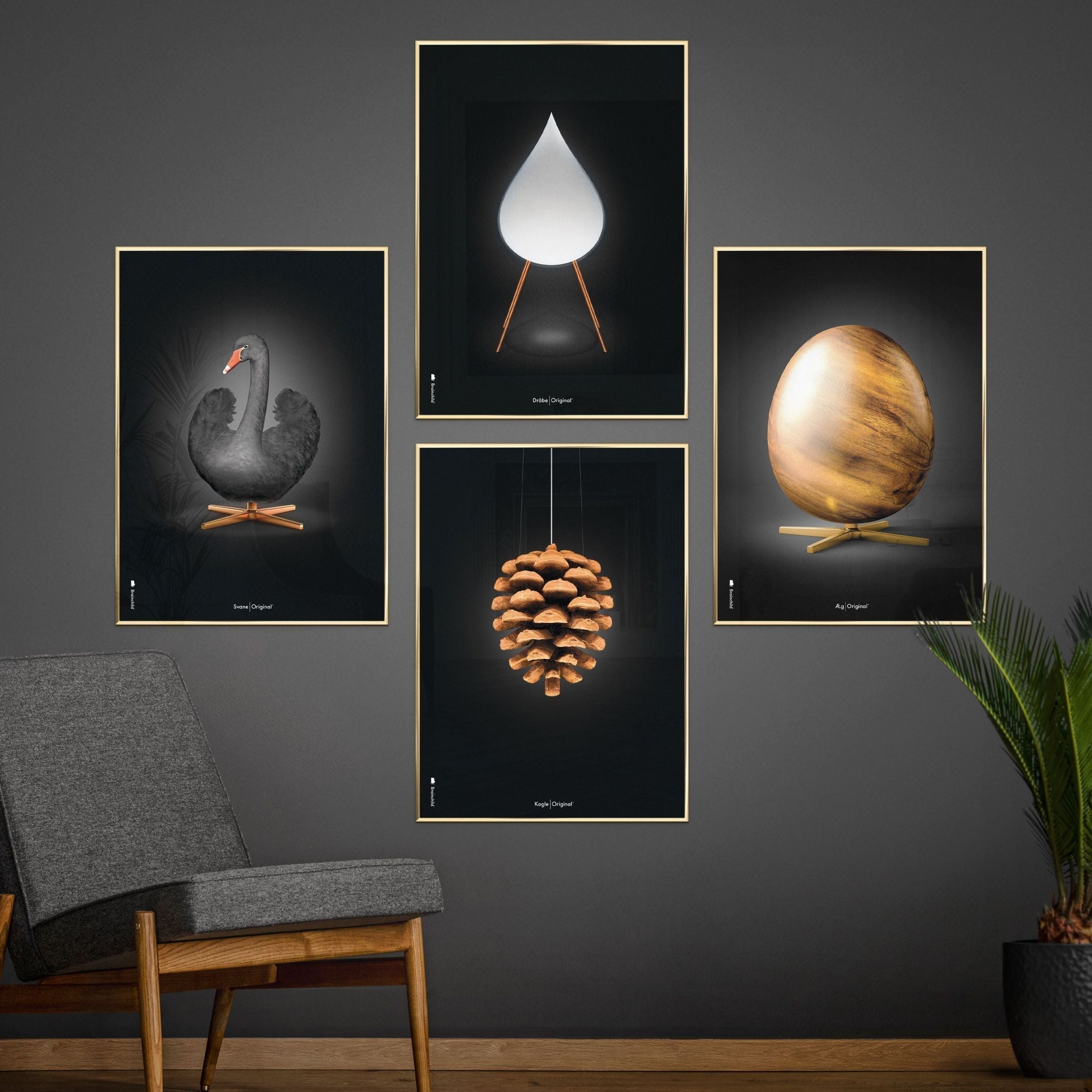 brainchild Pine Cone Classic Poster, ramme lavet af mørk træ 50x70 cm, sort baggrund