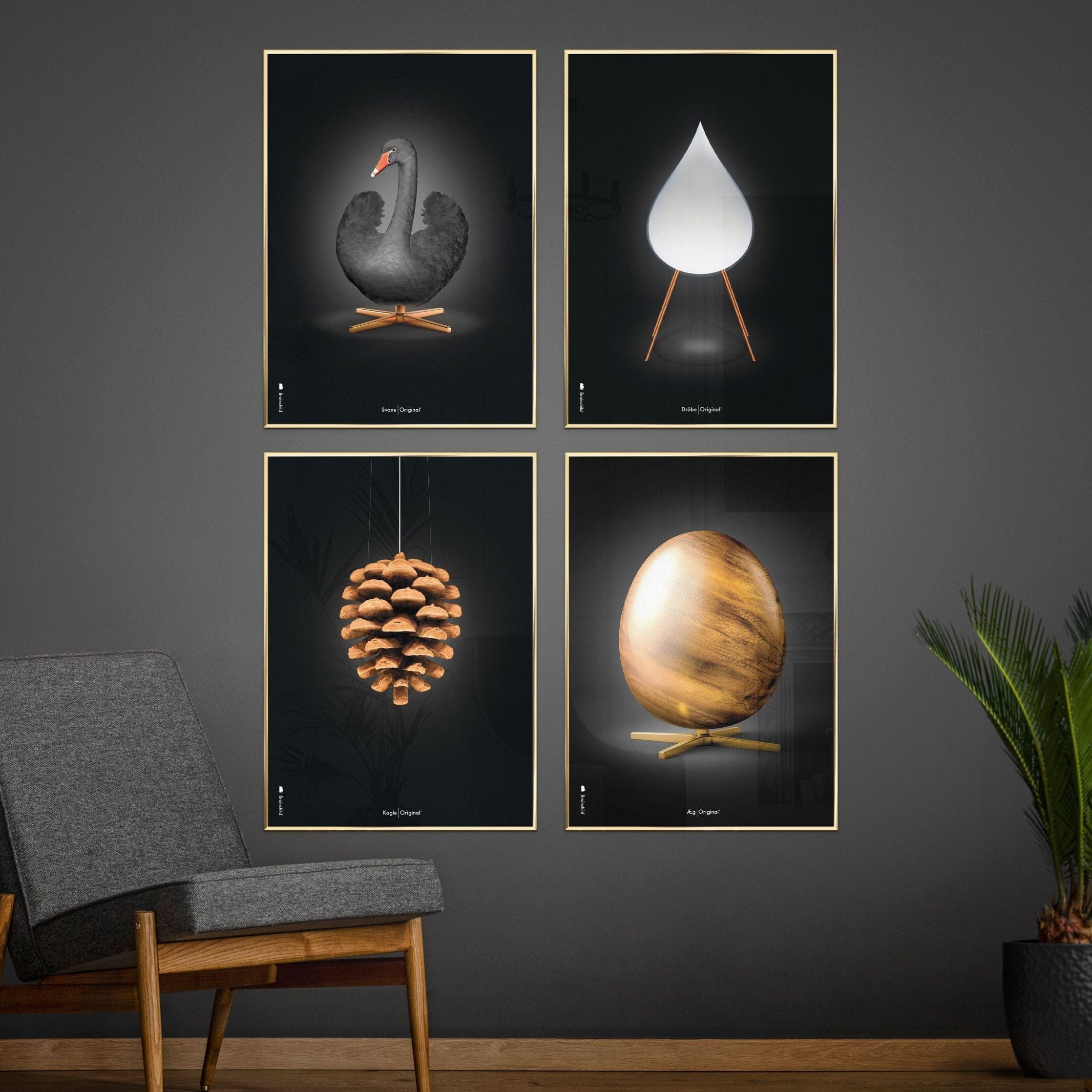 brainchild Pine Cone Classic Poster, Dark Wood Frame A5, sort baggrund