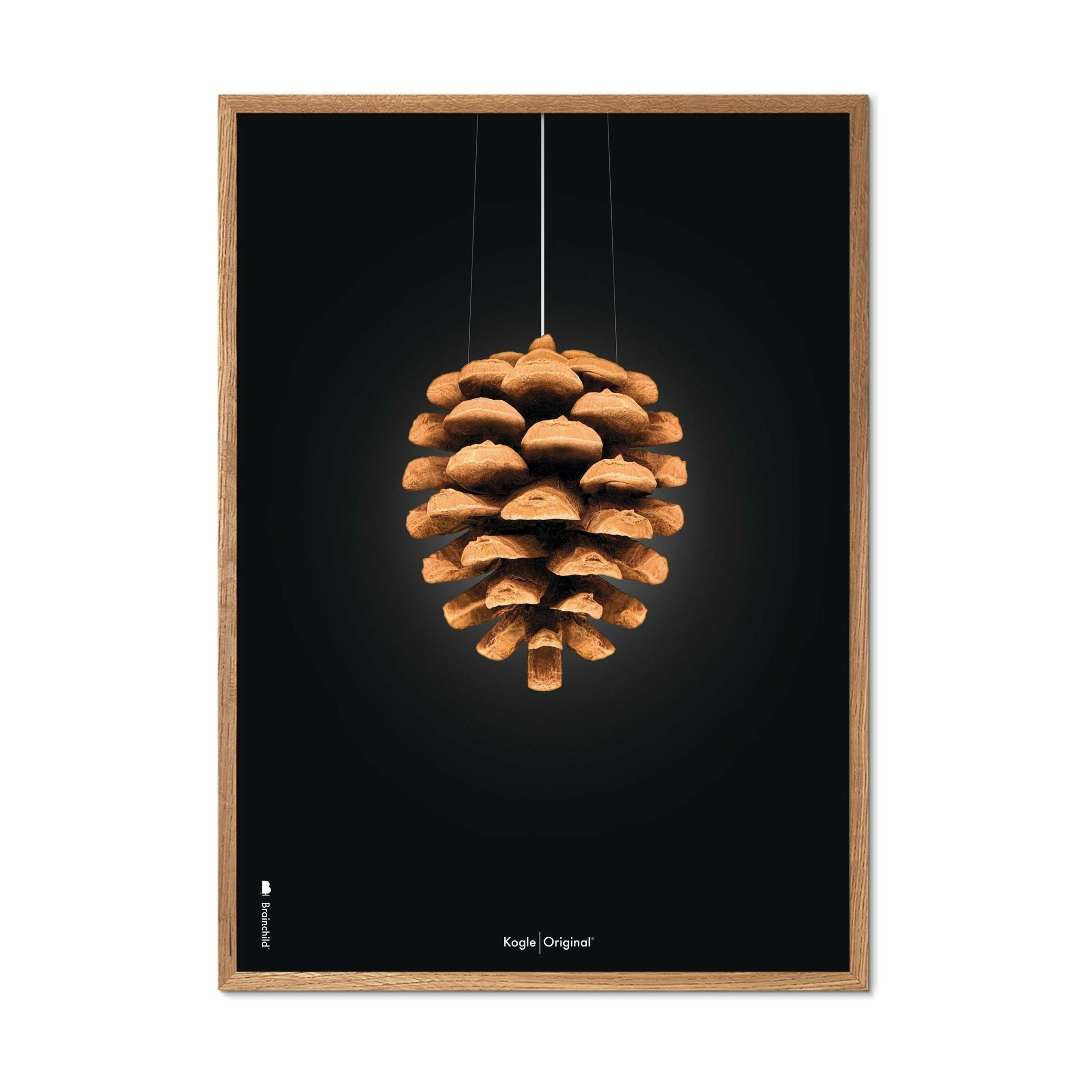 brainchild Pine Cone Classic Poster, ramme lavet af let træ 30x40 cm, sort baggrund