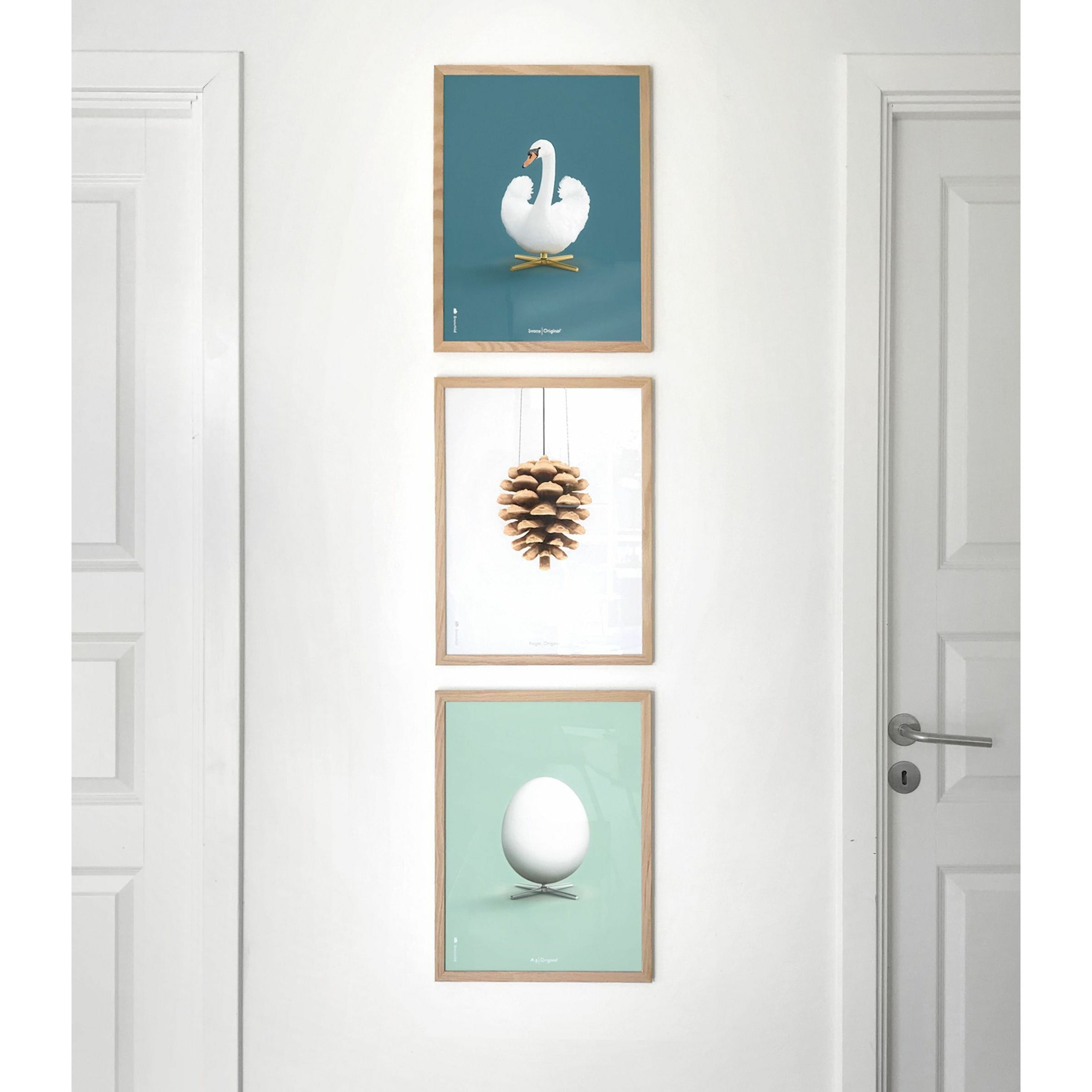 Brainchild Pine Cone Classic Poster, ramme lavet af let træ 30x40 cm, hvid baggrund