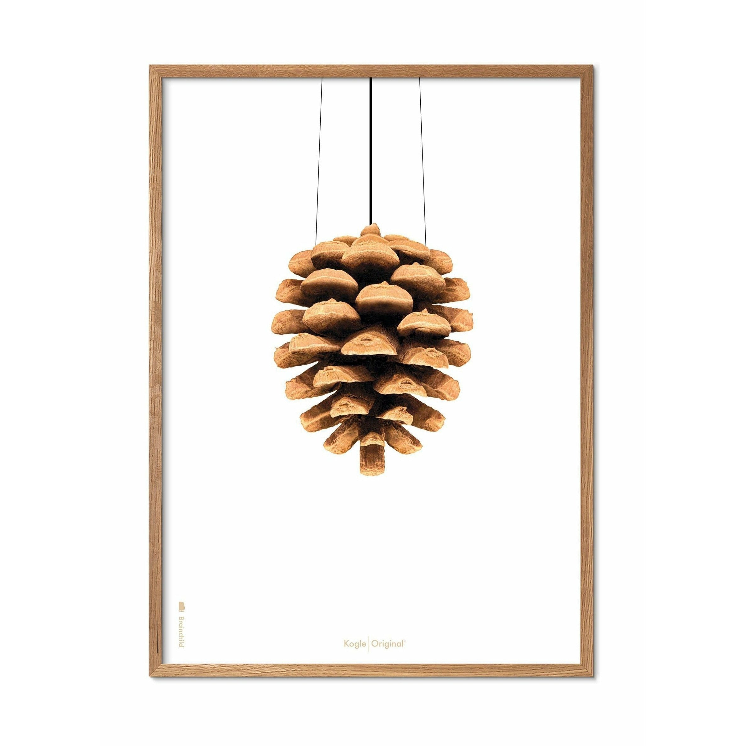 Brainchild Pine Cone Classic Poster, ramme lavet af let træ 70x100 cm, hvid baggrund