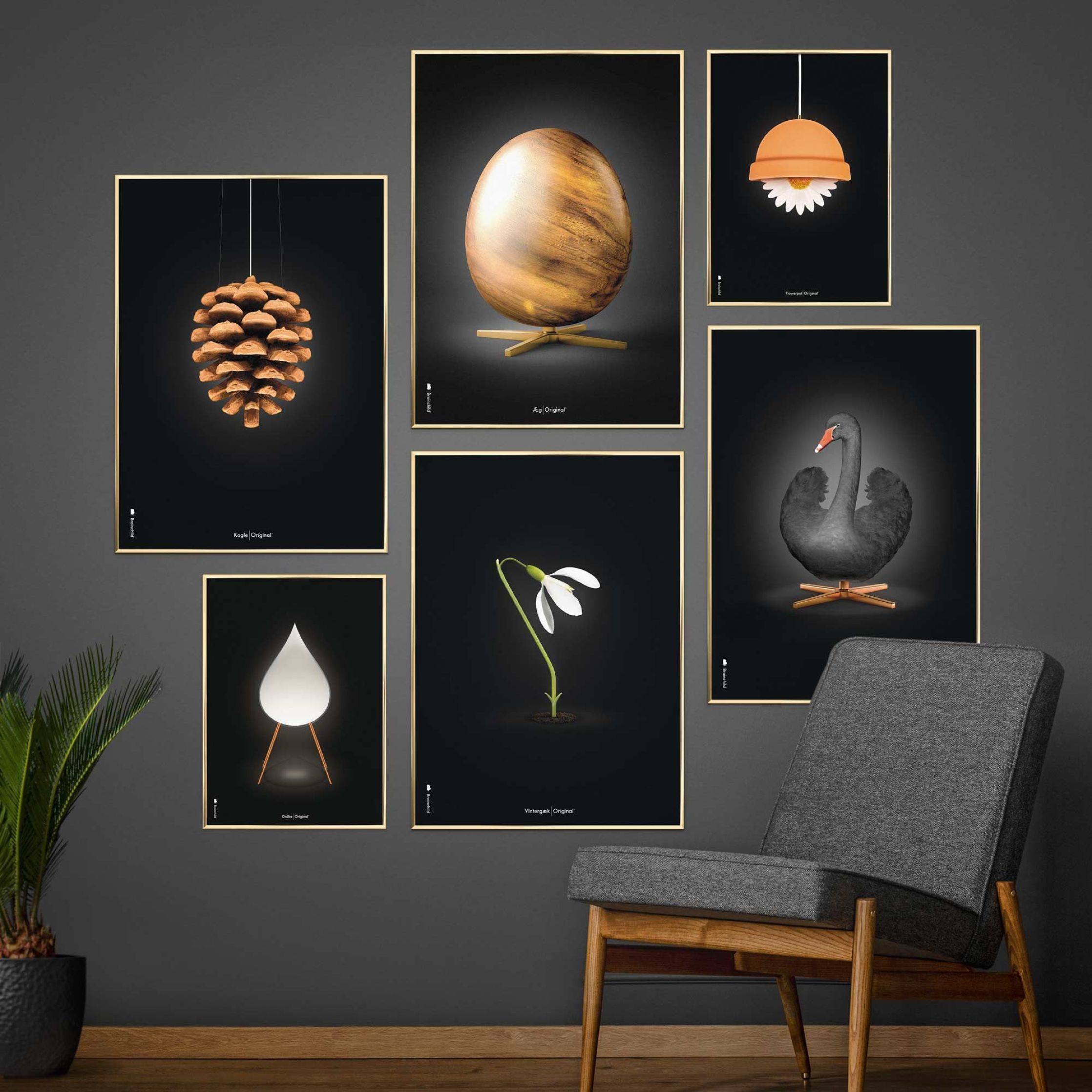 brainchild Pine Cone Classic Poster, Frame in Black Lacquered Wood 30x40 cm, sort baggrund