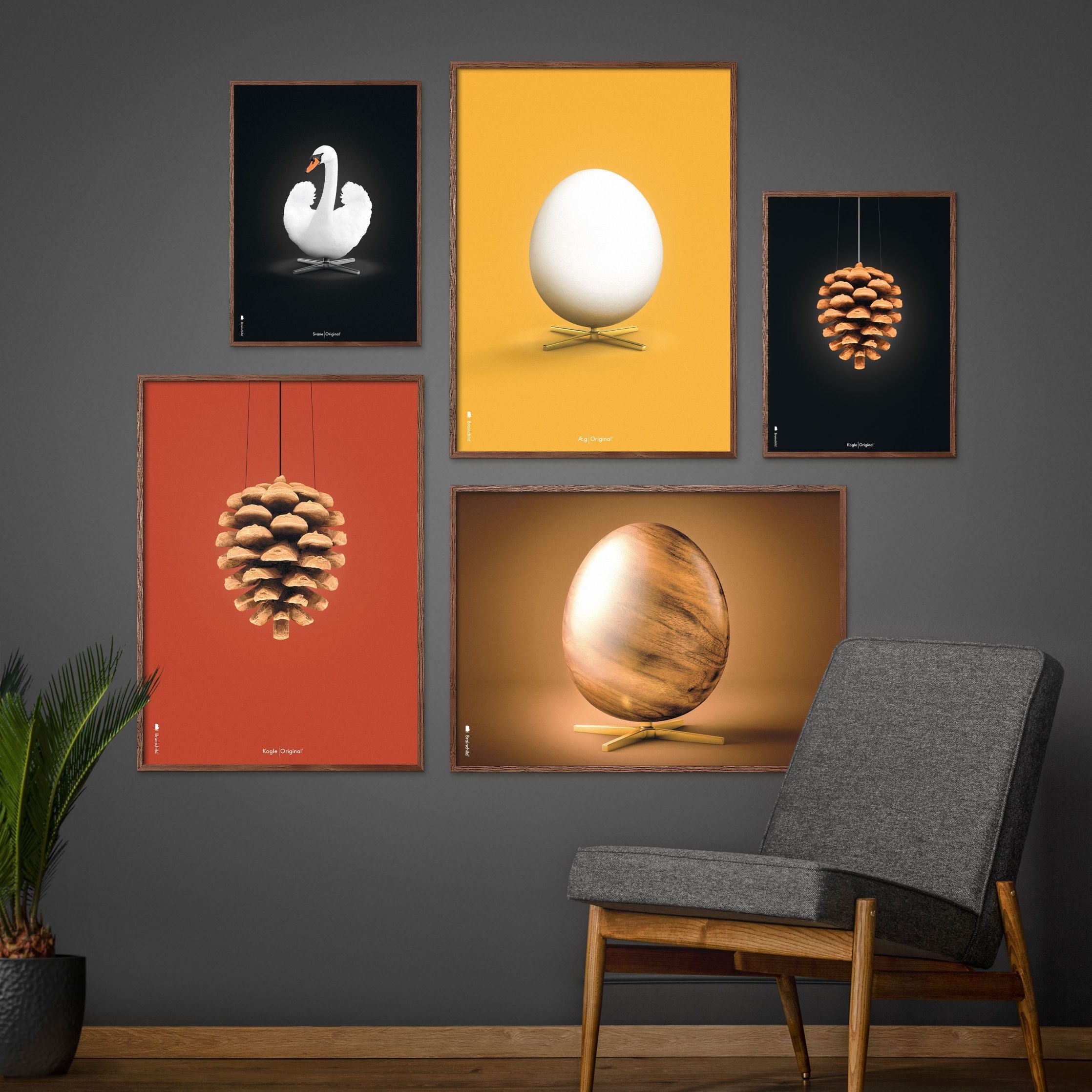 brainchild Pine Cone Classic Poster, Frame in Black Lacquered Wood 30x40 cm, sort baggrund