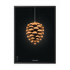 brainchild Pine Cone Classic Poster Frame in Black Lacquered Wood 30x40 cm sort baggrund