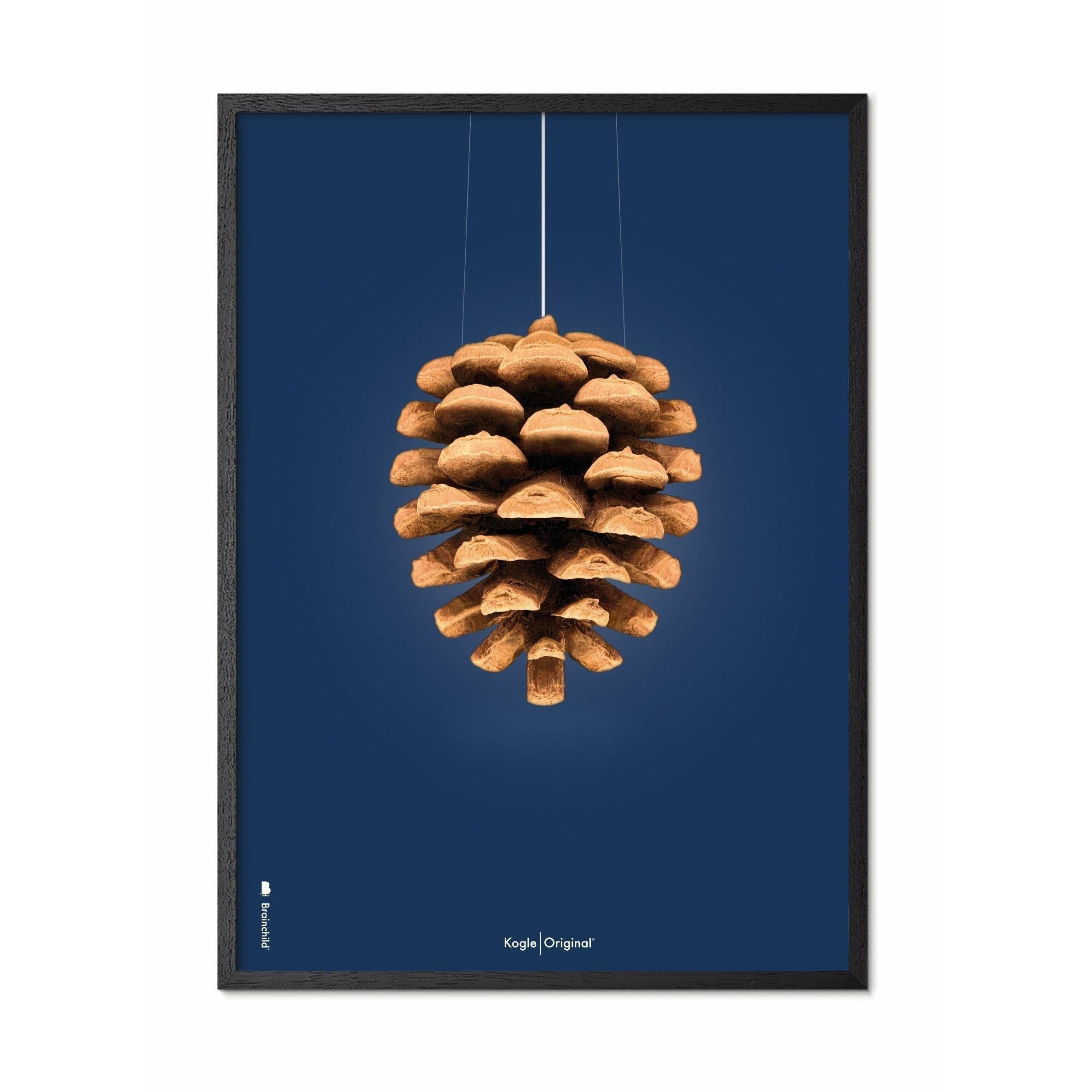 brainchild Pine Cone Classic Poster, Frame in Black Lacquered Wood 50x70 cm, mørkeblå baggrund