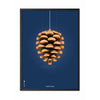 brainchild Pine Cone Classic Poster Frame in Black Lacquered Wood 50x70 cm mørkeblå baggrund