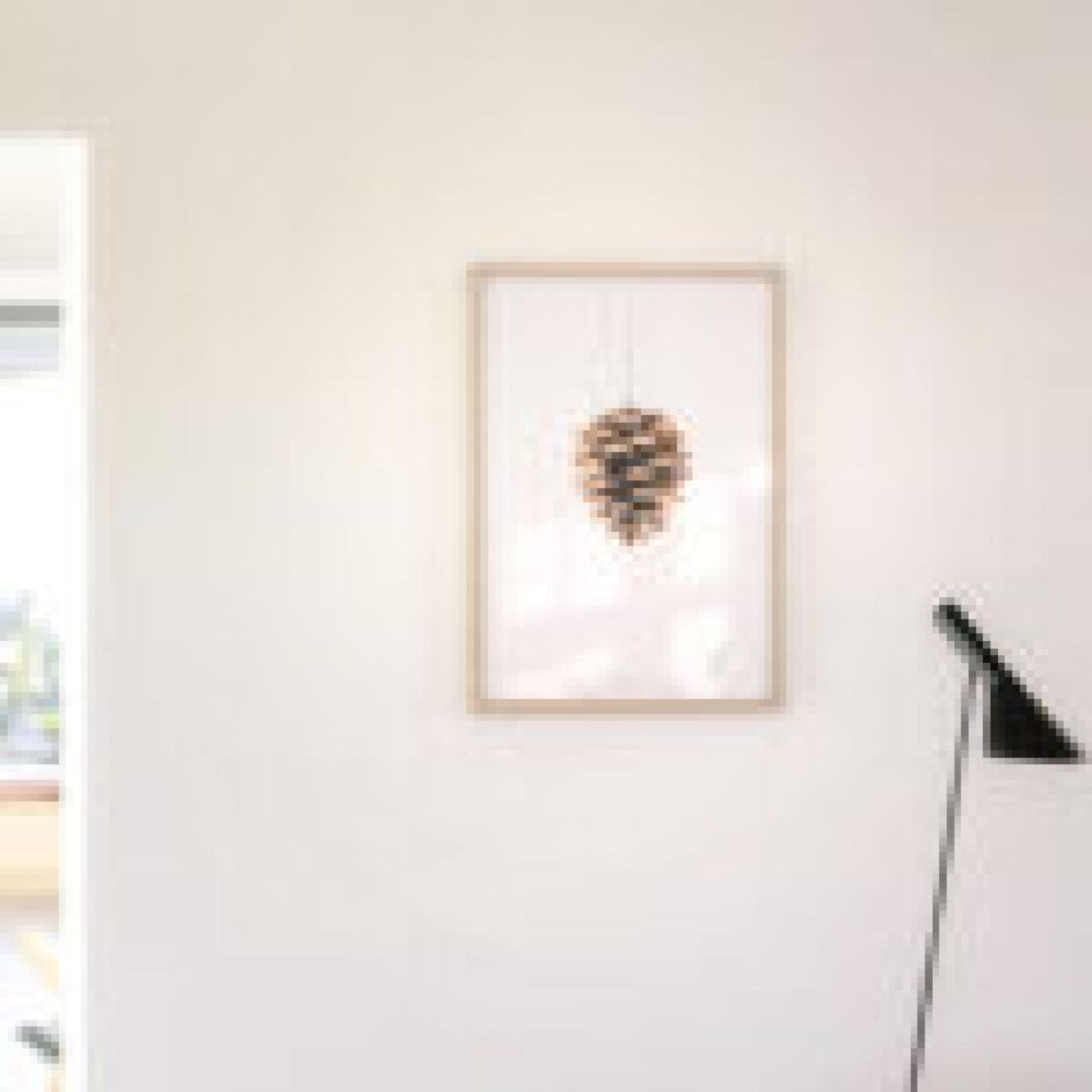 Brainchild Pine Cone Classic Poster, Frame in Black Lacquered Wood A5, White Baggrund