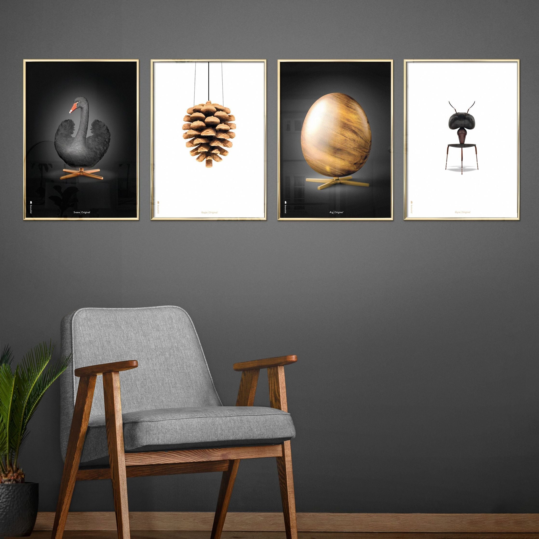 Brainchild Pine Cone Classic Poster, Frame in Black Lacquered Wood A5, White Baggrund