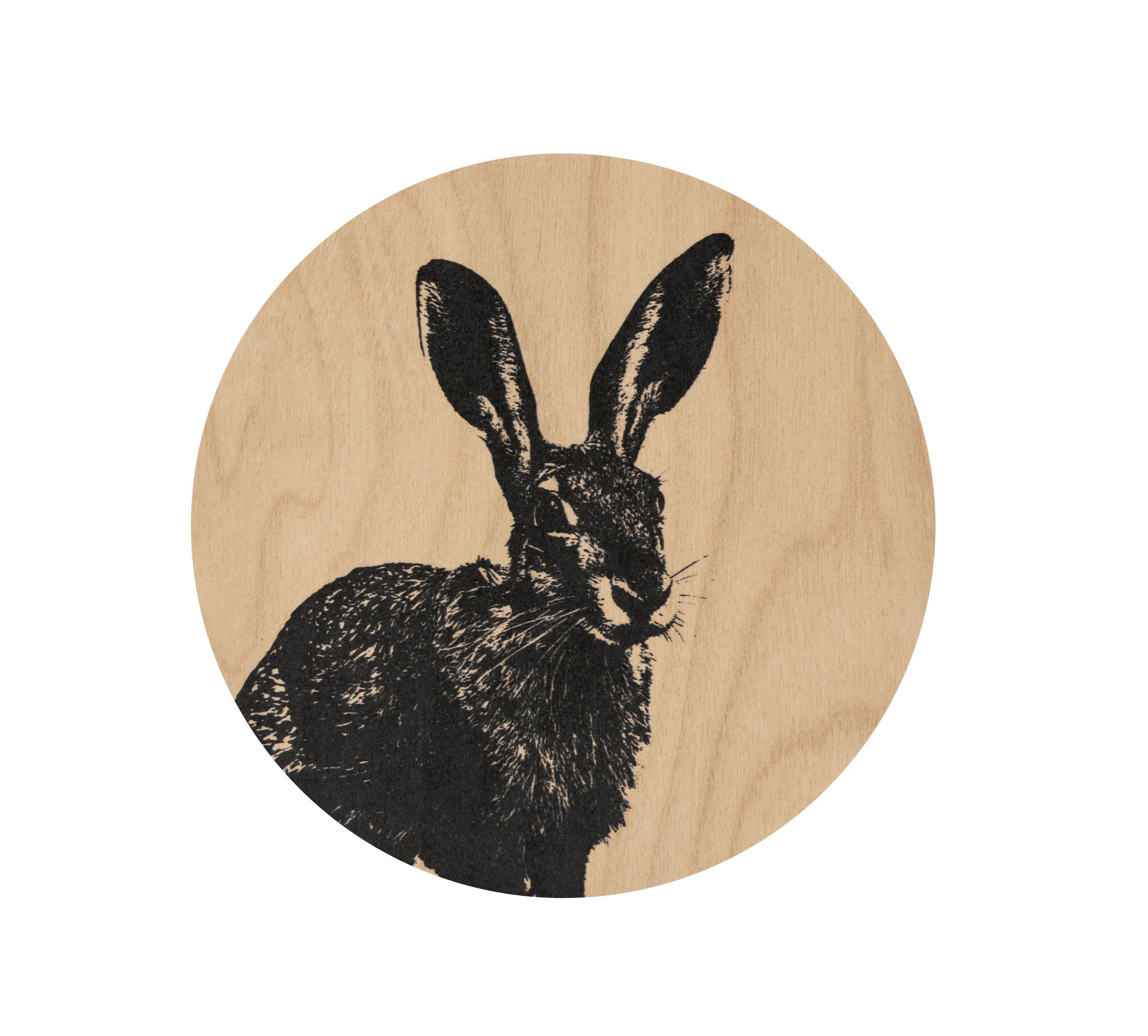 Muurla Coaster, The Hare