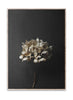 Paper Collective Still Life 04 Poster, 70x100 Cm