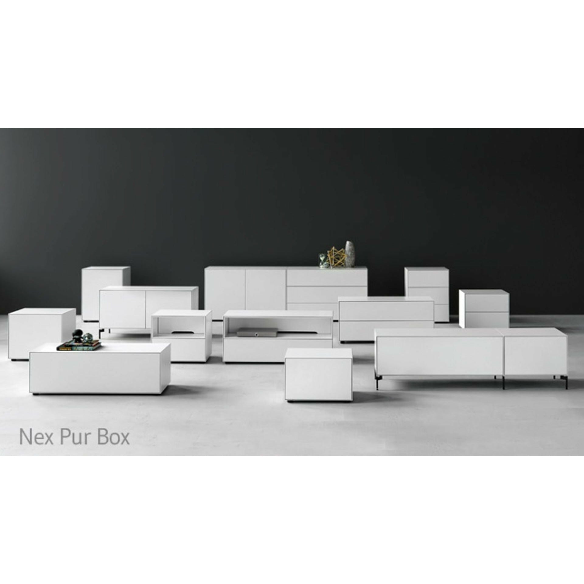 Piure Nex Pur Box Door Hx W 50x120 Cm, 1 Shelf