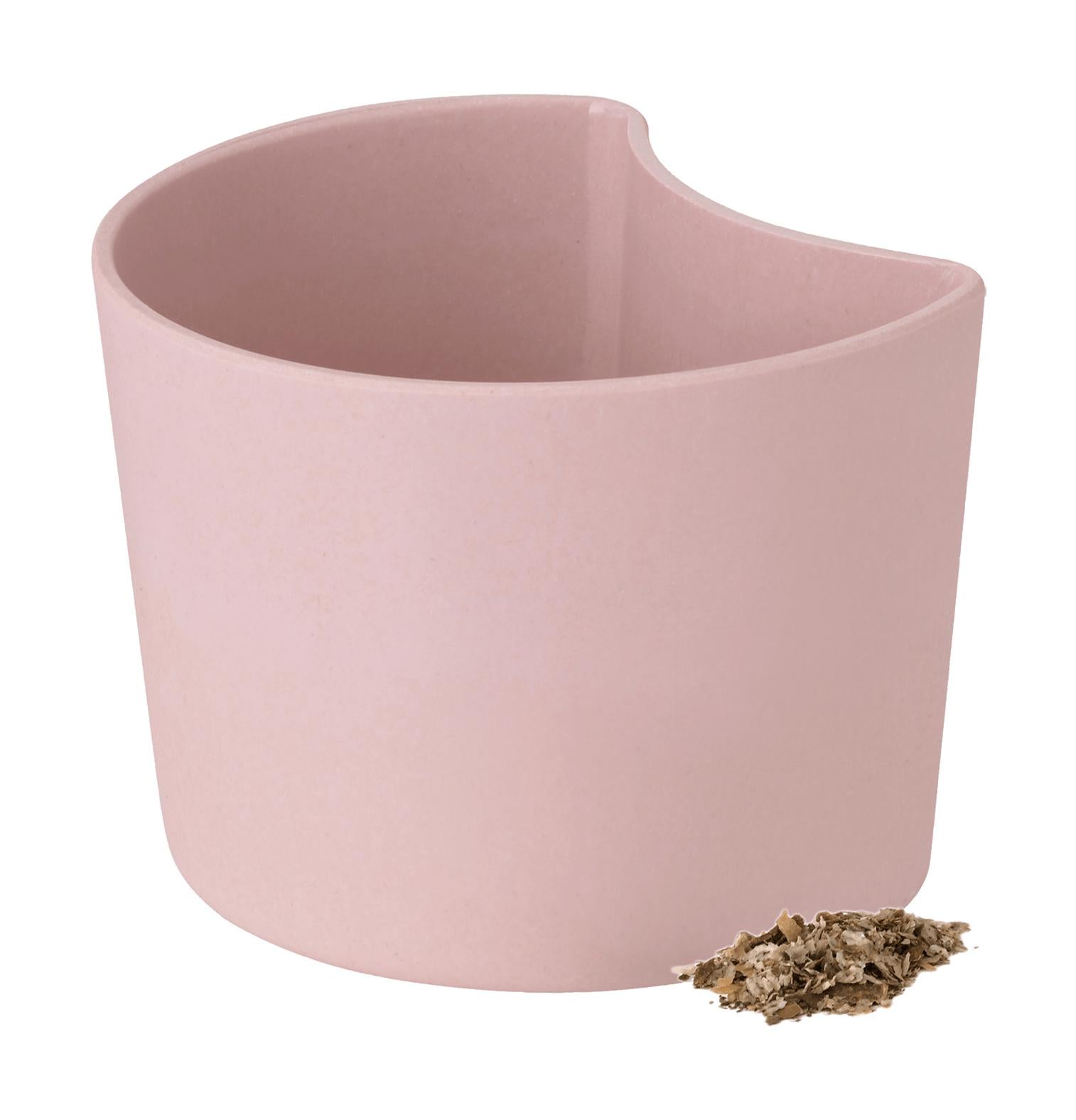 Rig Tig Your Tree Flower Pots With Seeds, Pink