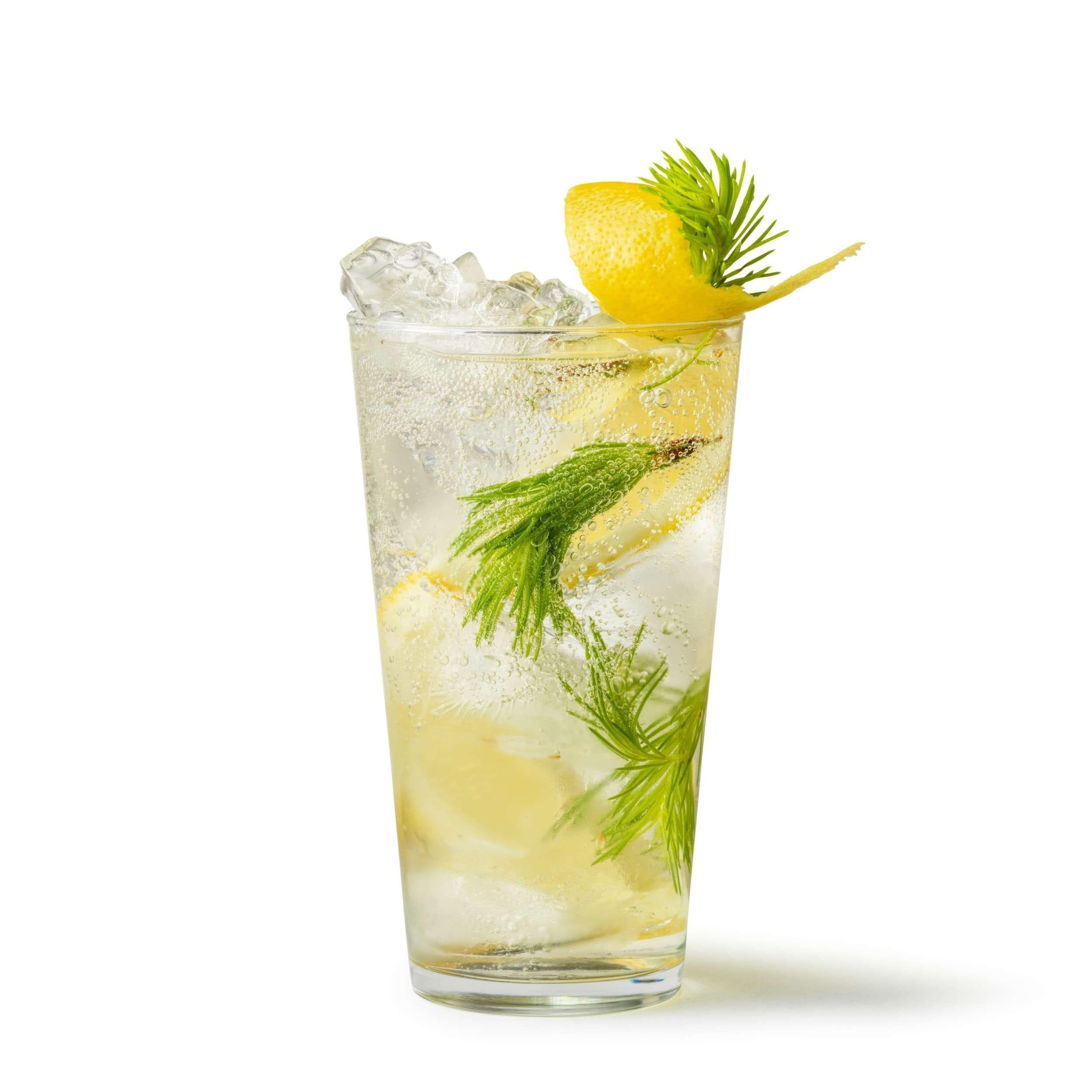 [product_category]-Aarke Drink Mixer, Spruce Shoots Tonic-Aarke-7350091791695-1215969-AAR-3