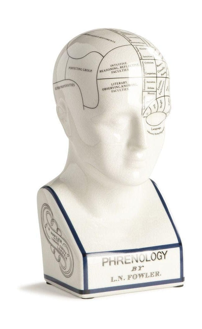 [product_category]-Authentic Models Phrenological Head-Authentic Models-781934244509-MG020-AUT-1