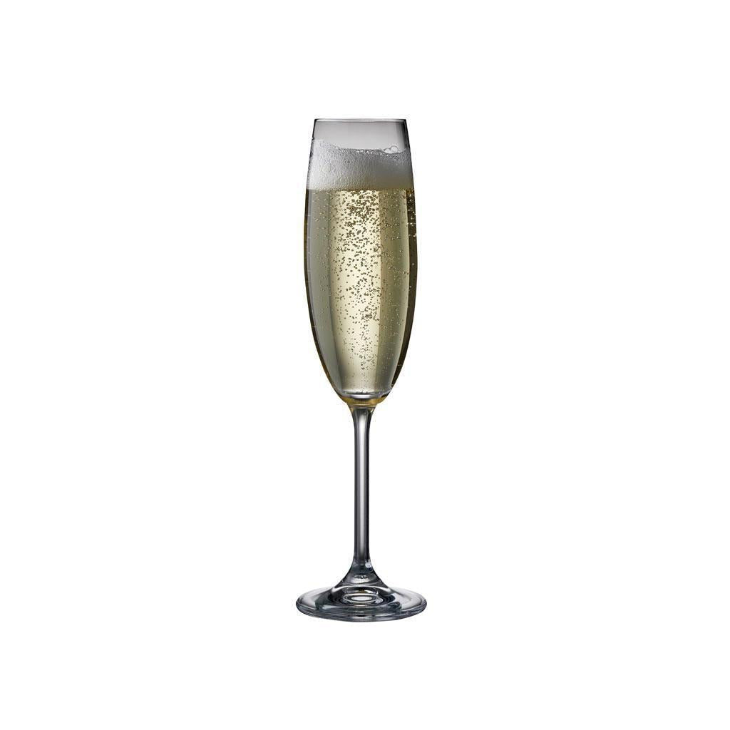 [product_category]-Bitz Champagne Glasses, Clear, 2 Pcs.-Bitz-5722009119495-911949-BIT-3