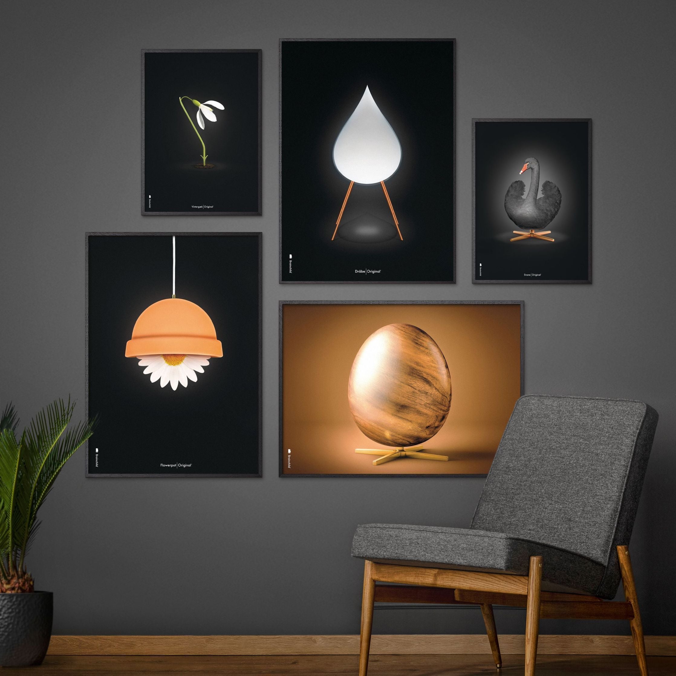 [product_category]-Brainchild Egg Cross Format Poster, Frame Made Of Dark Wood 50x70 Cm, Brown-Brainchild-18003-B-BRA-10