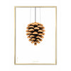 Pine Cone Classic Poster Brass Colored Frame A5 White Background