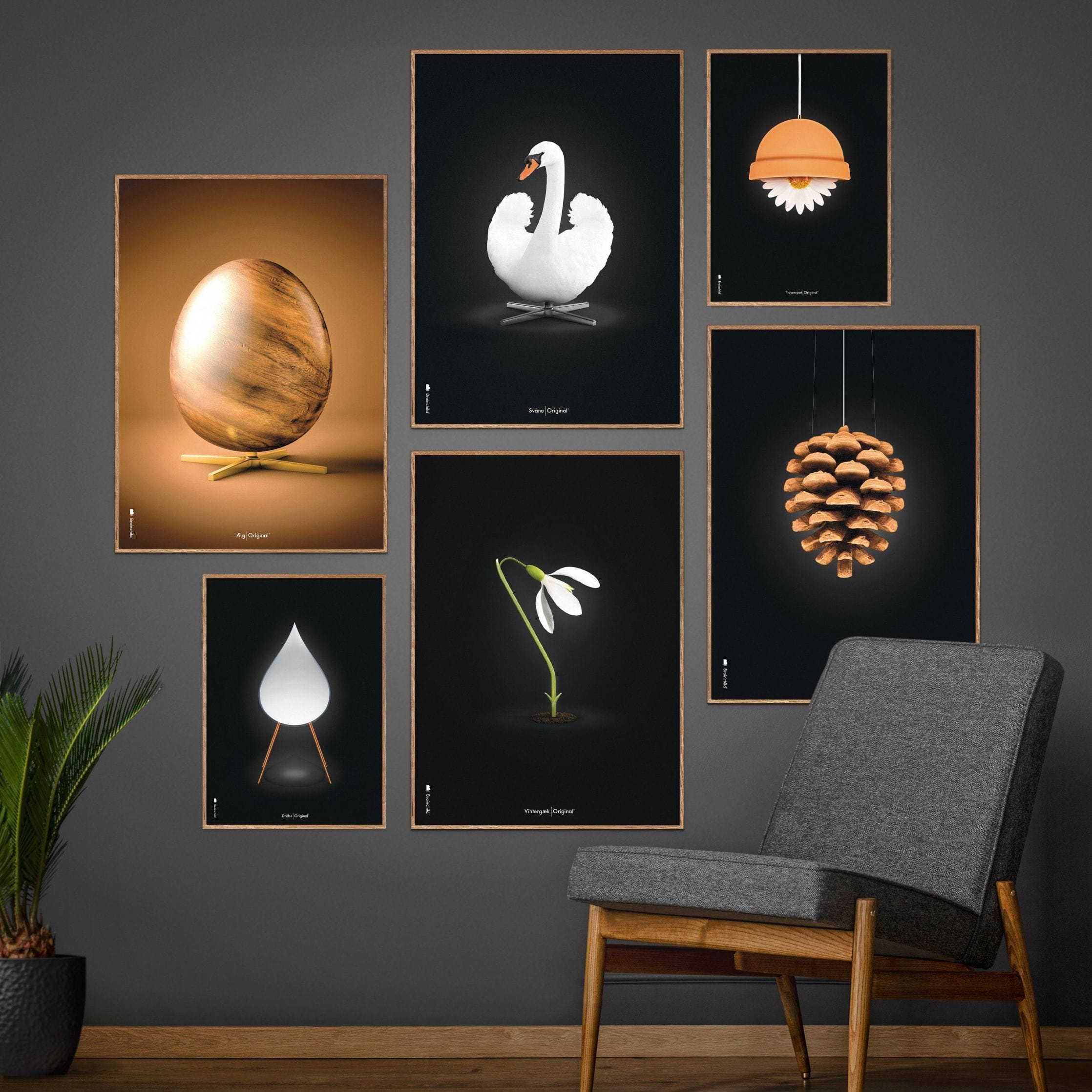 [product_category]-Brainchild Pine Cone Classic Poster, Dark Wood Frame A5, Black Background-Brainchild-23001-B-BRA-7