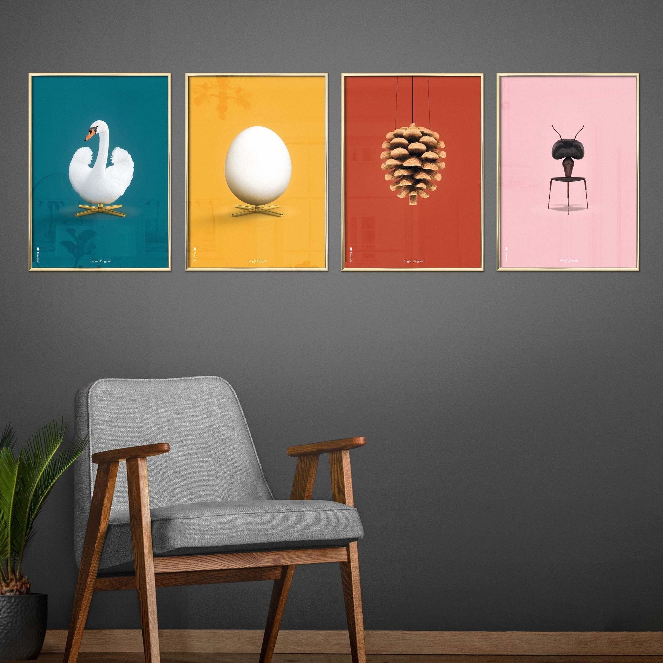 [product_category]-Brainchild Pine Cone Classic Poster, Frame In Black Lacquered Wood A5, Red Background-Brainchild-25001-C-BRA-4