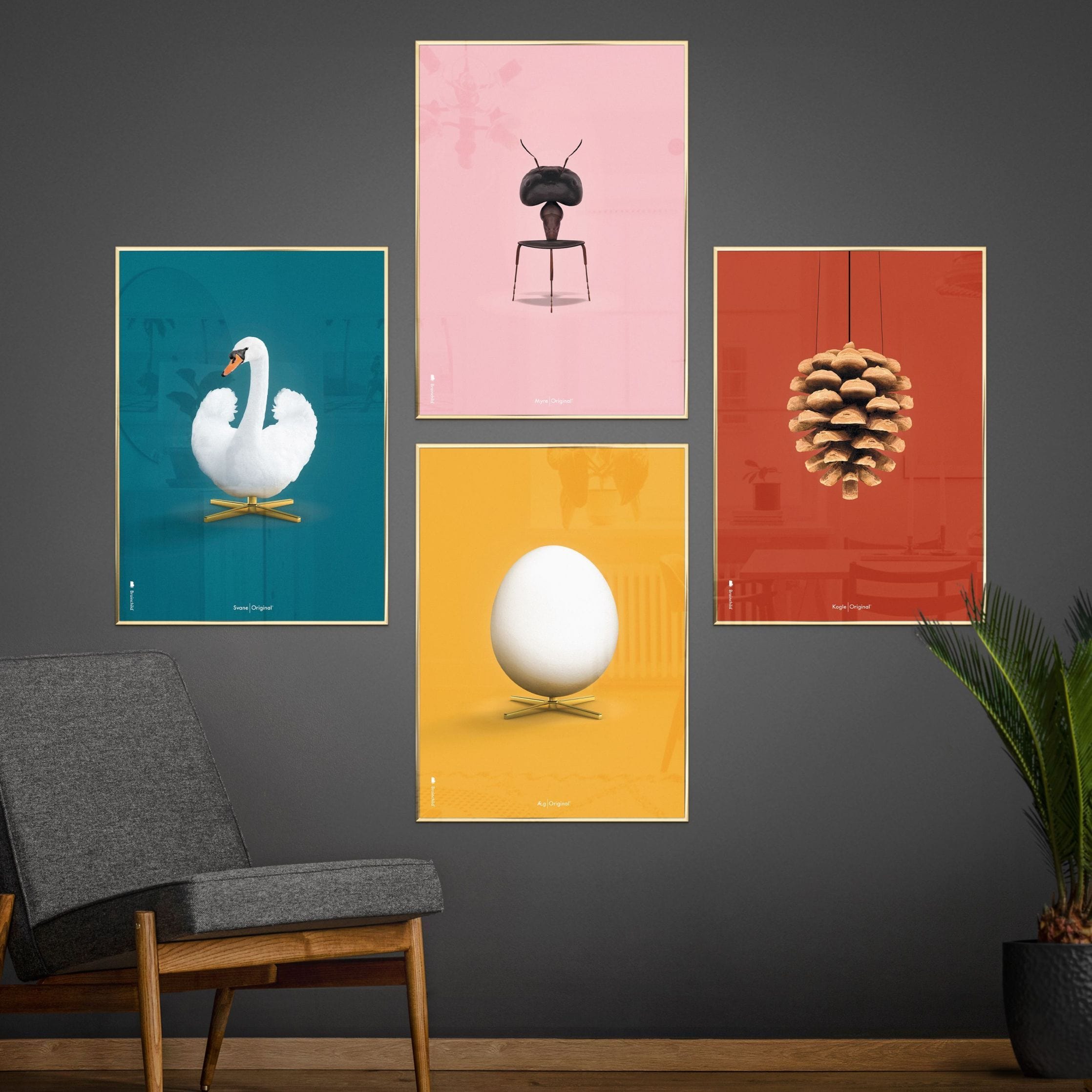 [product_category]-Brainchild Pine Cone Classic Poster, Frame In Black Lacquered Wood A5, Red Background-Brainchild-25001-C-BRA-5
