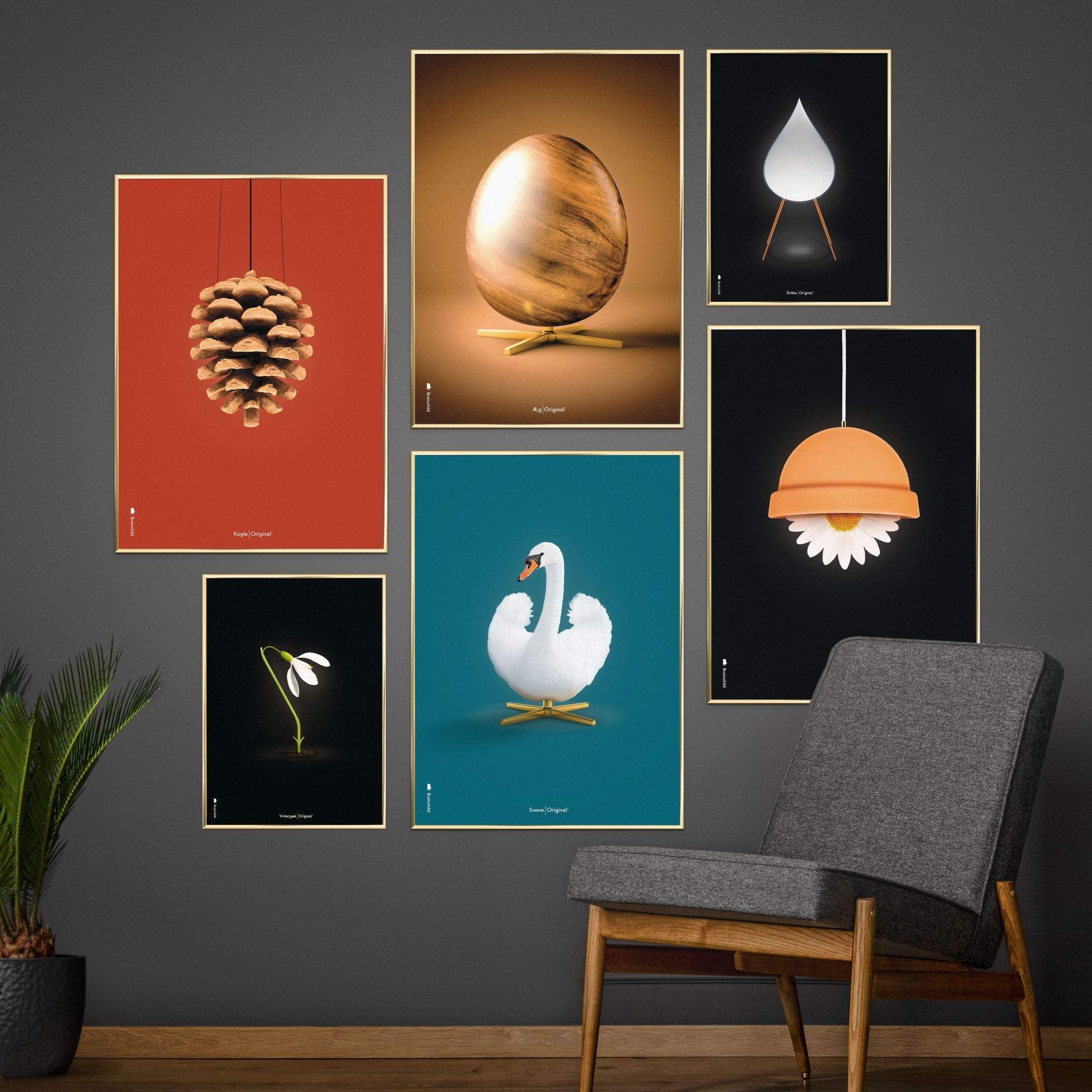 [product_category]-Brainchild Pine Cone Classic Poster, Frame In Black Lacquered Wood A5, Red Background-Brainchild-25001-C-BRA-6