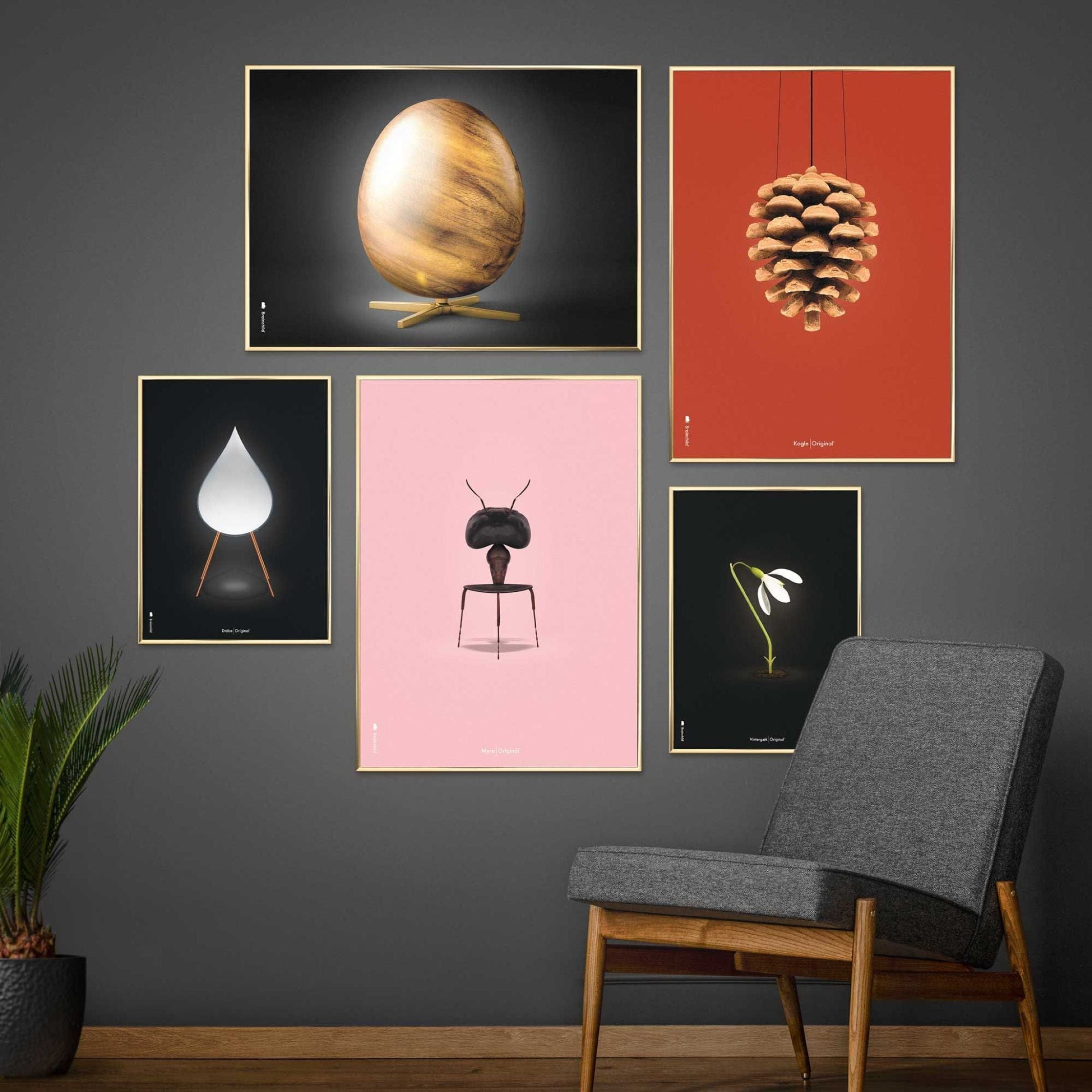 [product_category]-Brainchild Pine Cone Classic Poster, Frame In Black Lacquered Wood A5, Red Background-Brainchild-25001-C-BRA-7