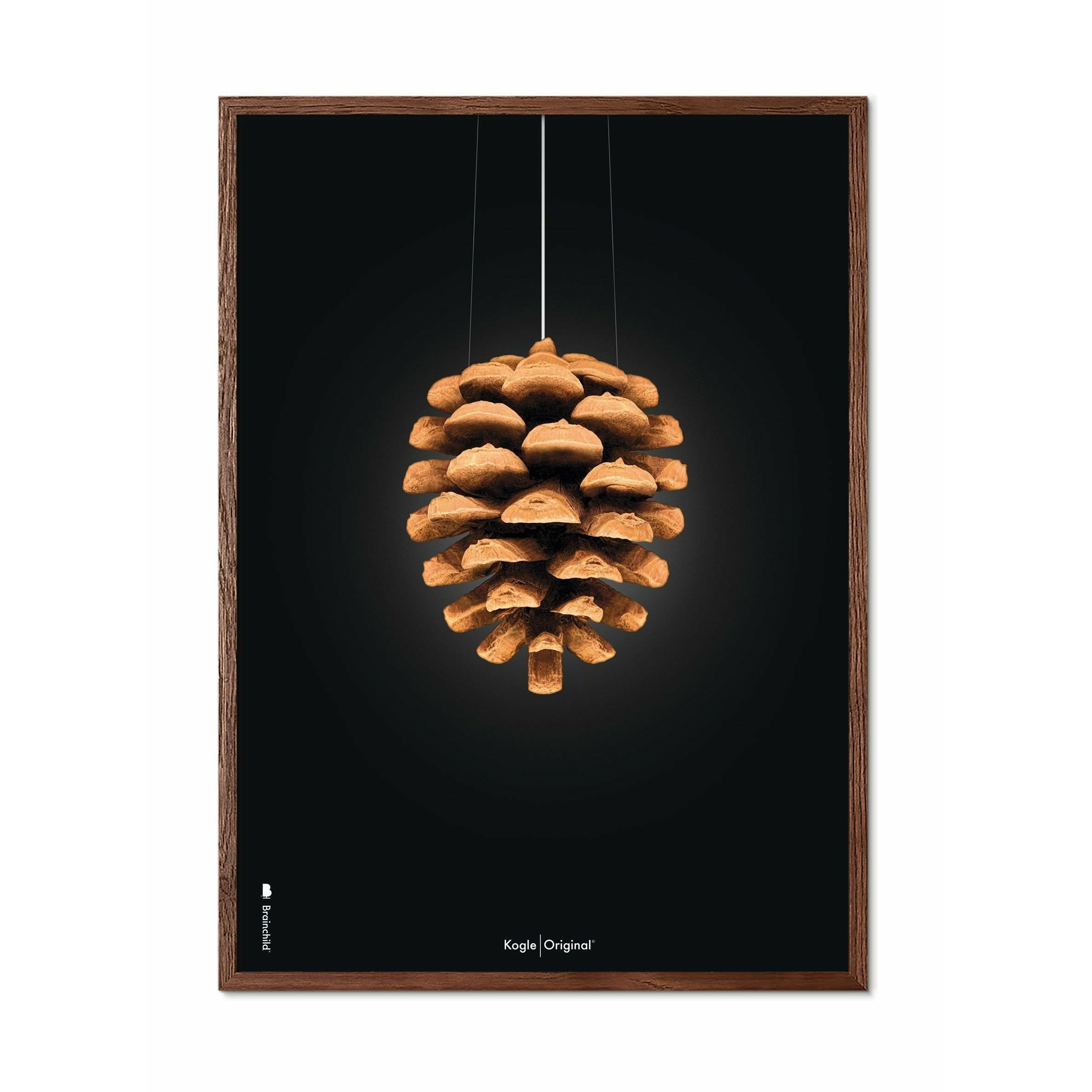 [product_category]-Brainchild Pine Cone Classic Poster, Frame Made Of Dark Wood 30x40 Cm, Black Background-Brainchild-23002-B-BRA-1