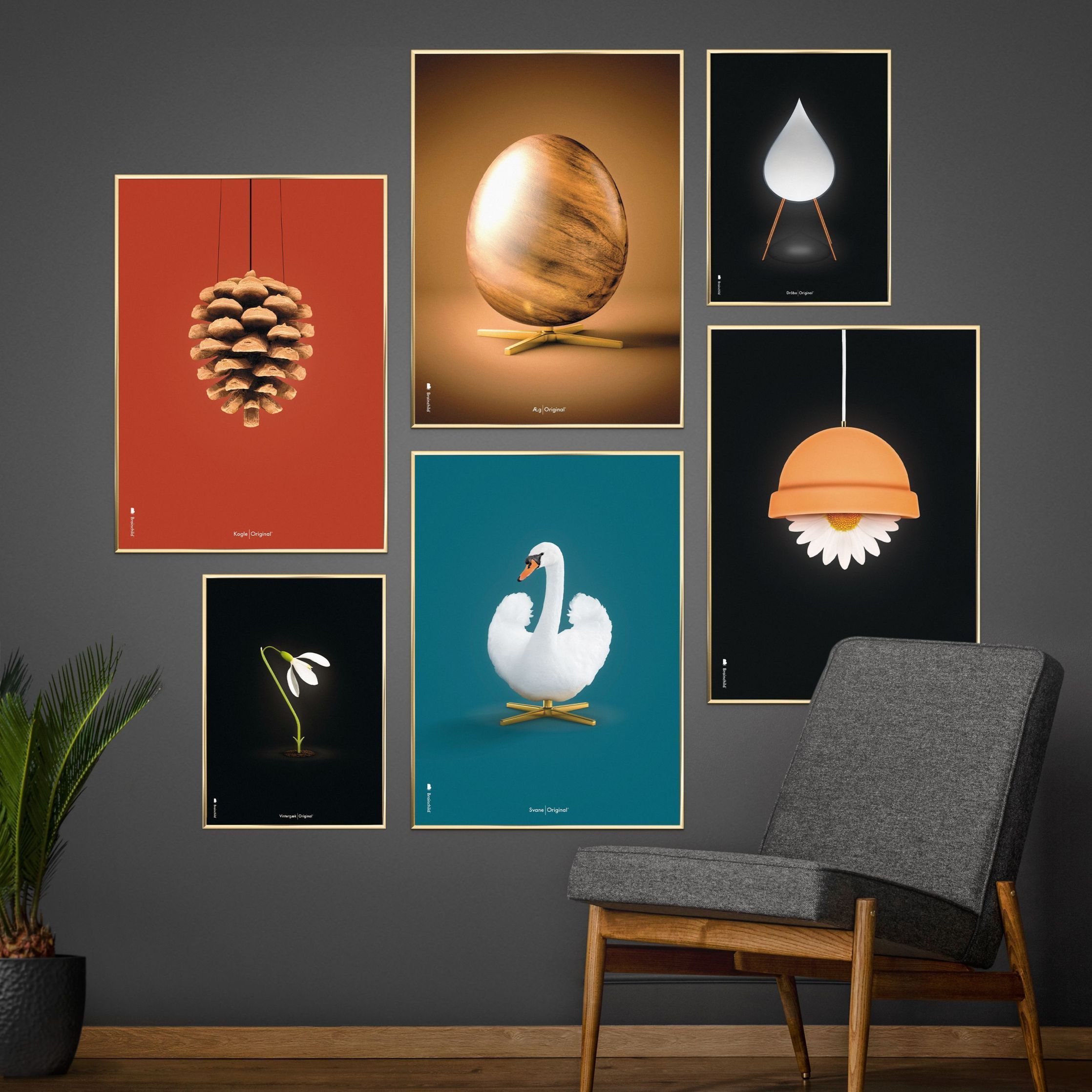 [product_category]-Brainchild Pine Cone Classic Poster Frame Made Of Dark Wood 30x40 Cm, Red Background-Brainchild-25002-B-BRA-6