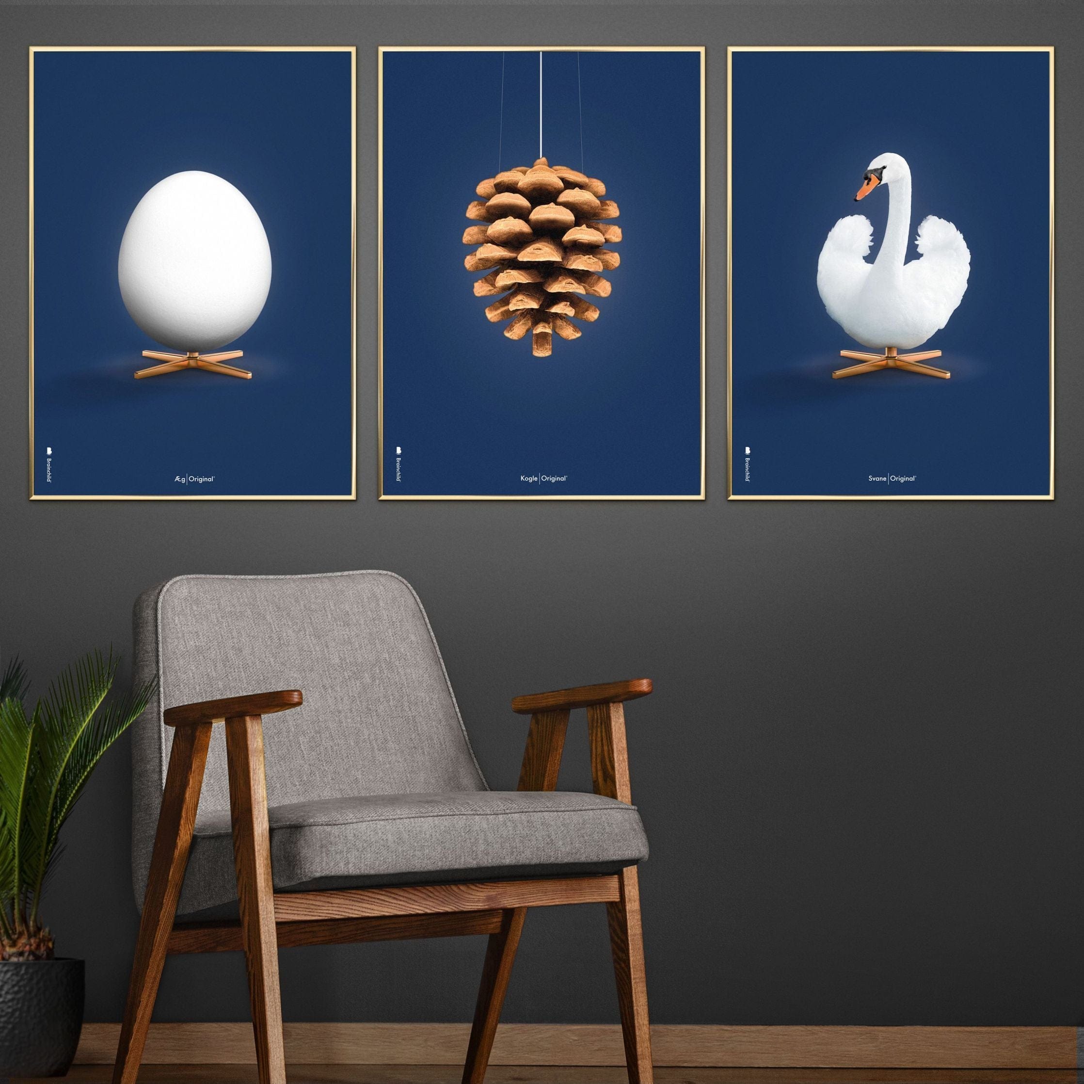 [product_category]-Brainchild Pine Cone Classic Poster, Frame Made Of Dark Wood 50x70 Cm, Dark Blue Background-Brainchild-26003-B-BRA-5