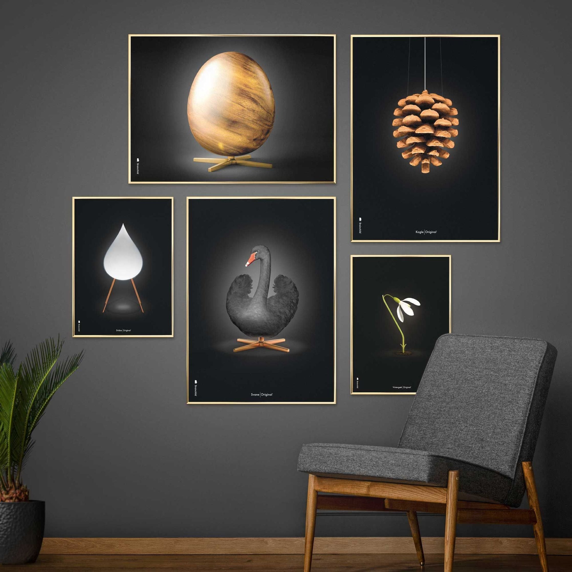 [product_category]-Brainchild Pine Cone Classic Poster, Frame Made Of Light Wood 30x40 Cm, Black Background-Brainchild-23002-A-BRA-12