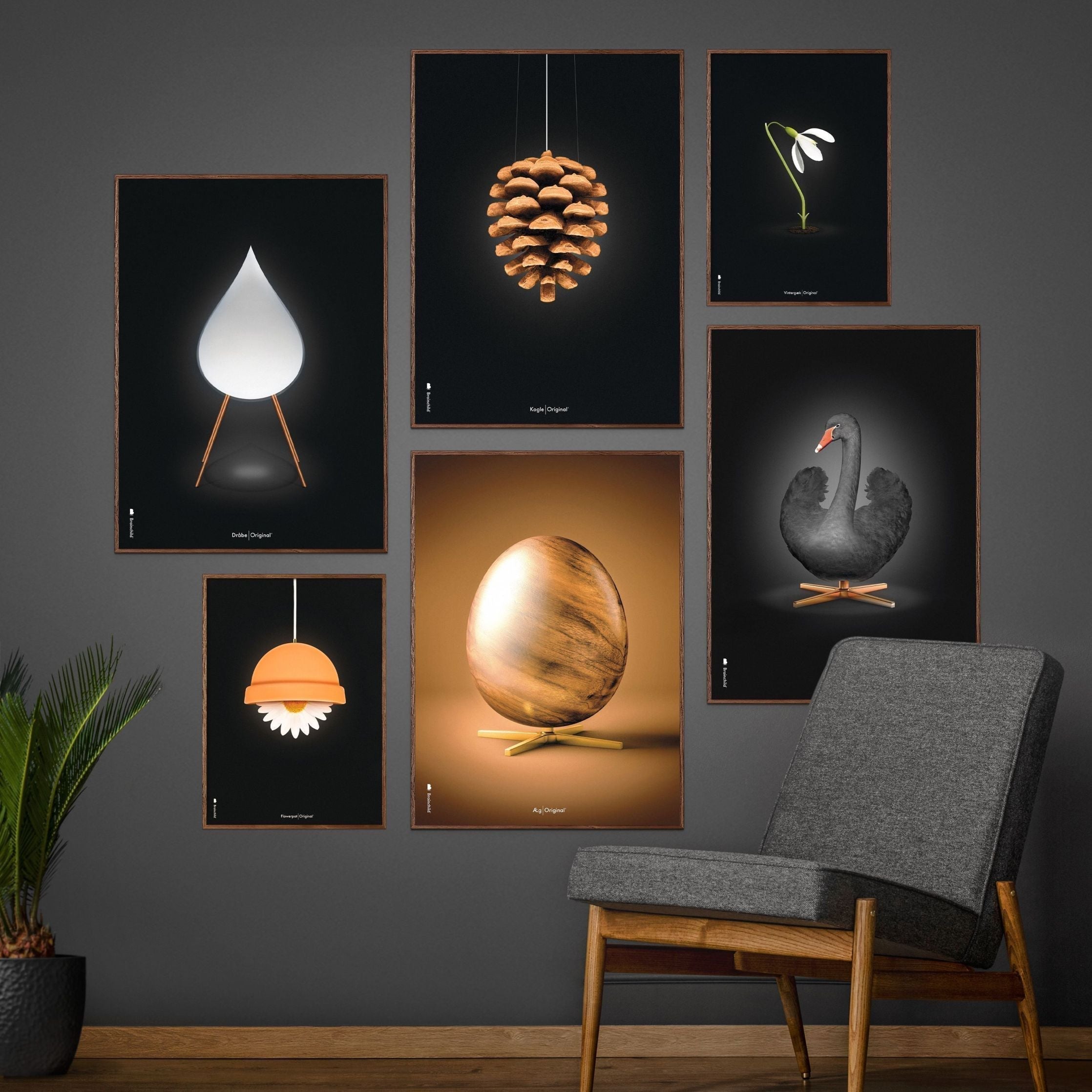 [product_category]-Brainchild Pine Cone Classic Poster, Frame Made Of Light Wood 30x40 Cm, Black Background-Brainchild-23002-A-BRA-8