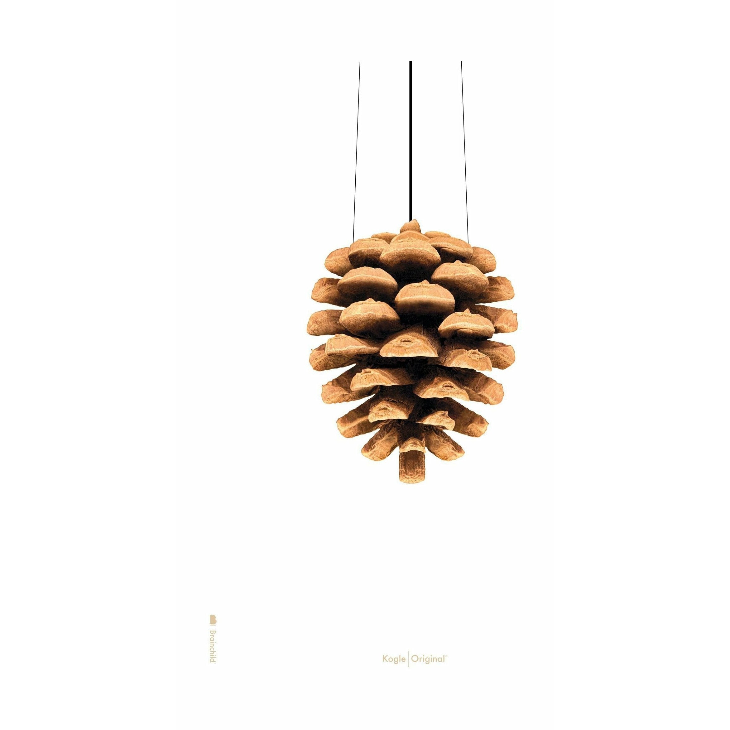 [product_category]-Brainchild Pine Cone Classic Poster Without Frame 50 X70 Cm, White Background-Brainchild-5713713200327-22003-BRA-1