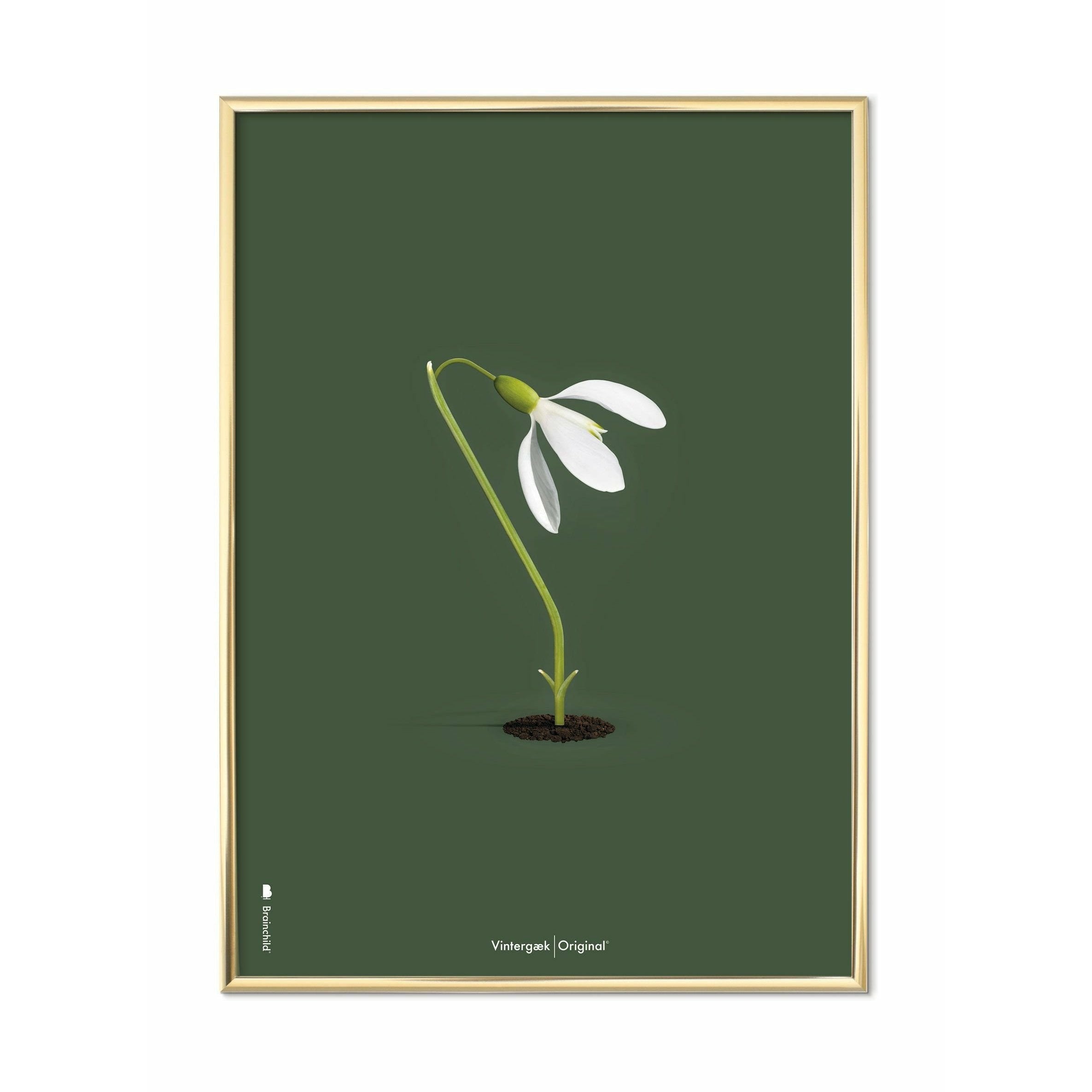 [product_category]-Brainchild Snowdrop Classic Poster, Brass Colored Frame 50x70 Cm, Green Background-Brainchild-61003-D-BRA-1