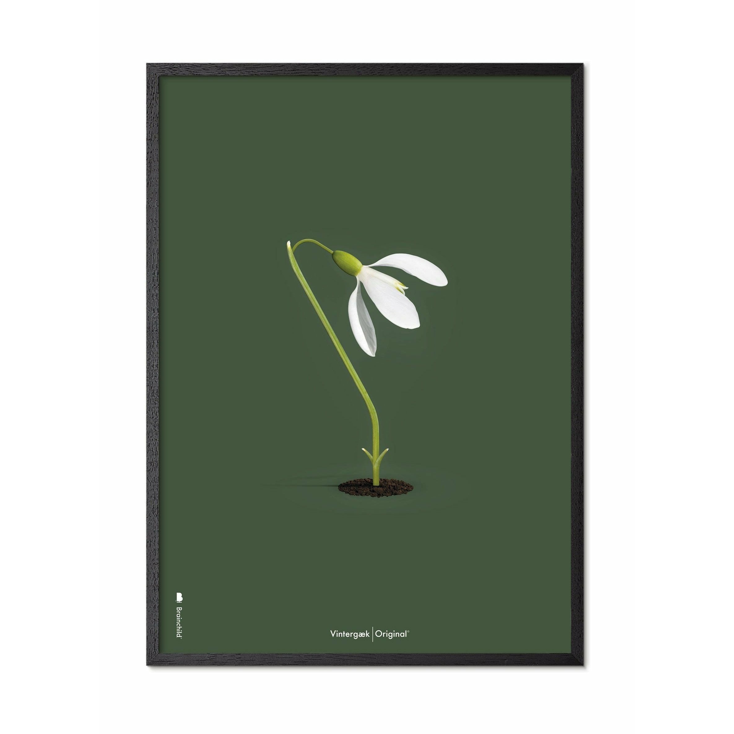 [product_category]-Brainchild Snowdrop Classic Poster, Frame In Black Lacquered Wood 30x40 Cm, Green Background-Brainchild-61002-C-BRA-1