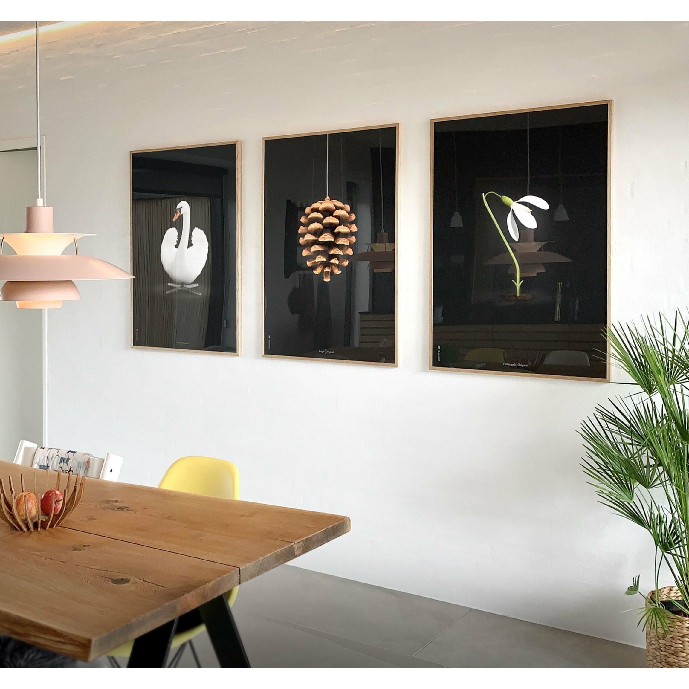 [product_category]-Brainchild Snowdrop Classic Poster, Frame Made Of Dark Wood 50x70 Cm, Black Background-Brainchild-63003-B-BRA-11