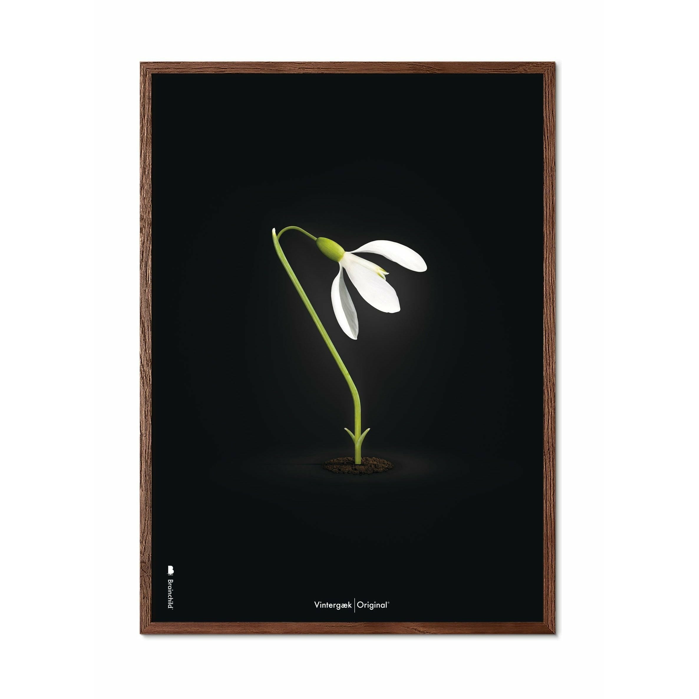 [product_category]-Brainchild Snowdrop Classic Poster, Frame Made Of Dark Wood 50x70 Cm, Black Background-Brainchild-63003-B-BRA-1