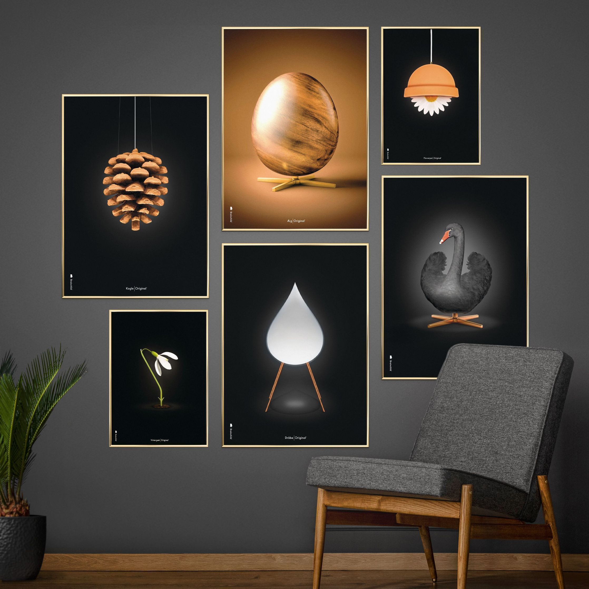 [product_category]-Brainchild Snowdrop Classic Poster, Frame Made Of Dark Wood 50x70 Cm, Black Background-Brainchild-63003-B-BRA-5